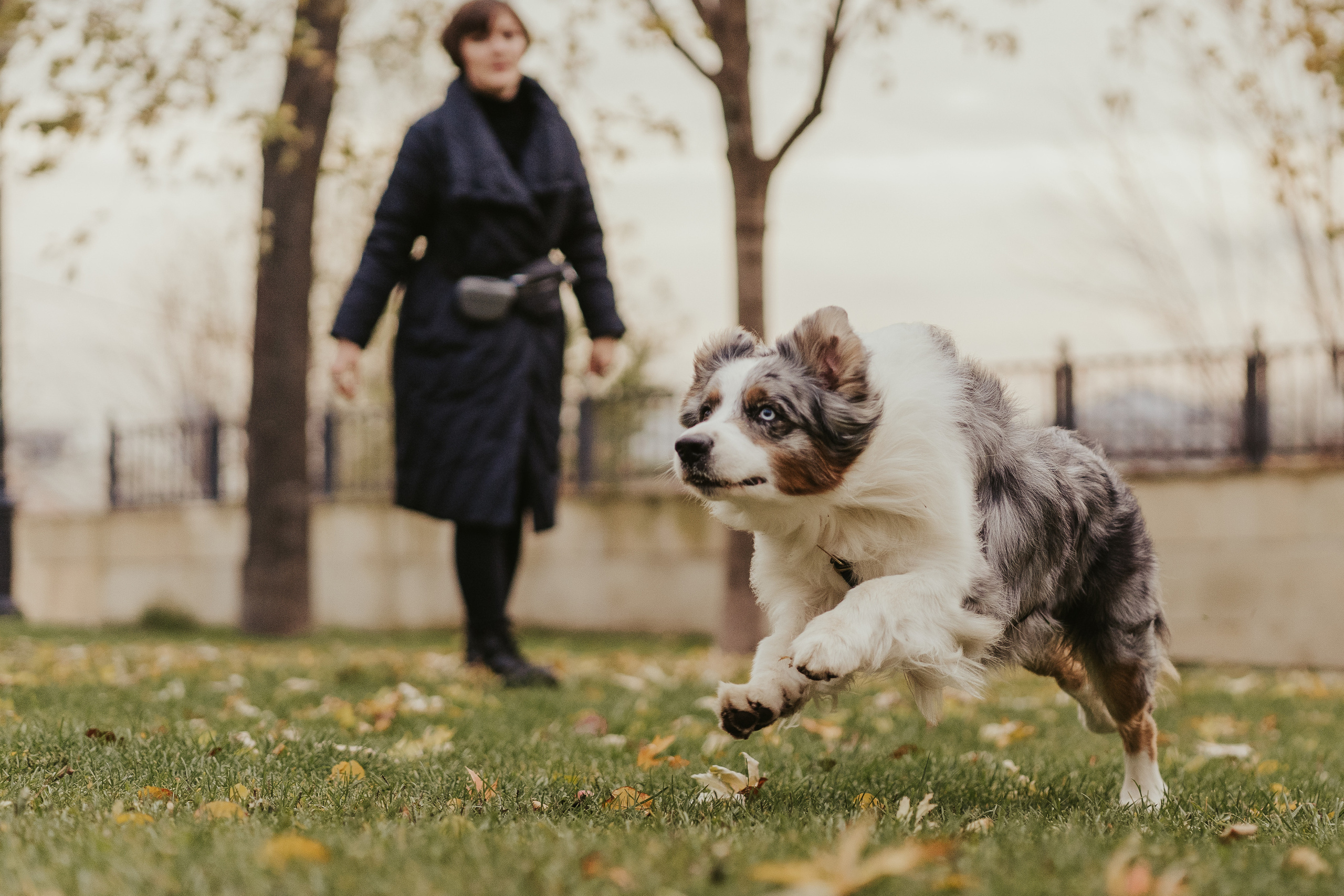 Лена и Принц, Китай- Город. Свадебный фотограф в Москве Анна Полушина