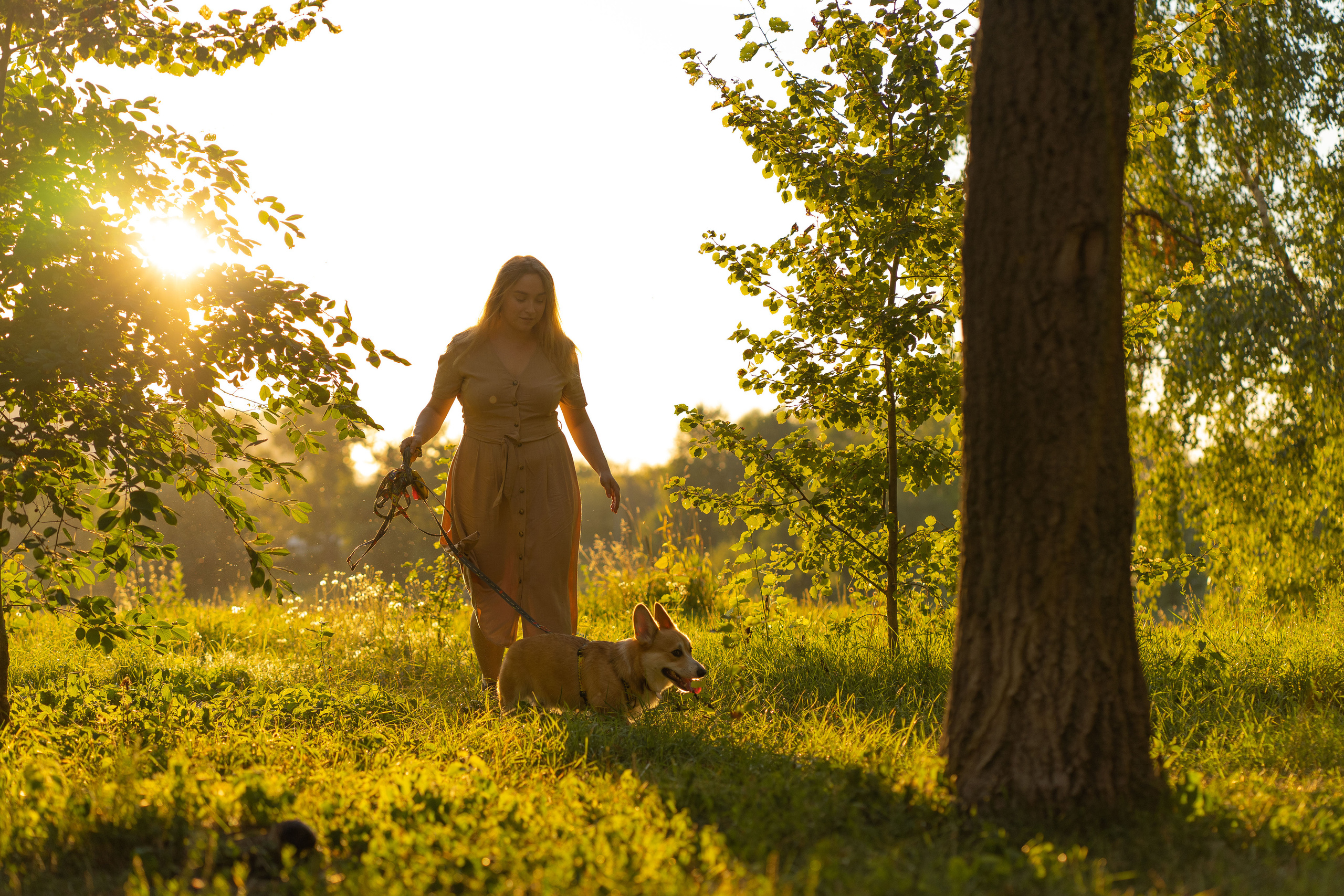 Катя и Боря, Джамгаровский парк. Свадебный фотограф в Москве Анна Полушина