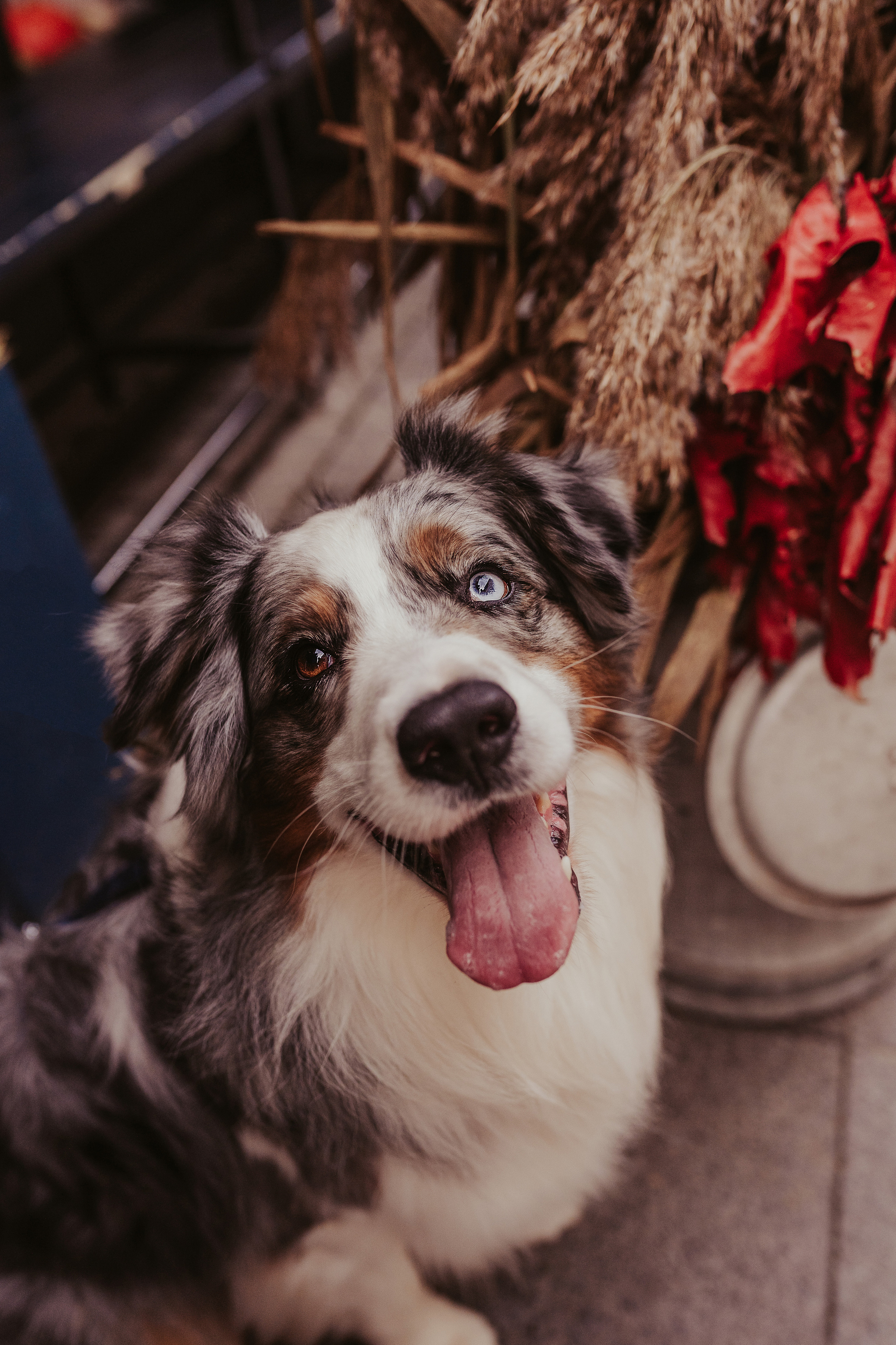 Лена и Принц, Китай- Город. Свадебный фотограф в Москве Анна Полушина