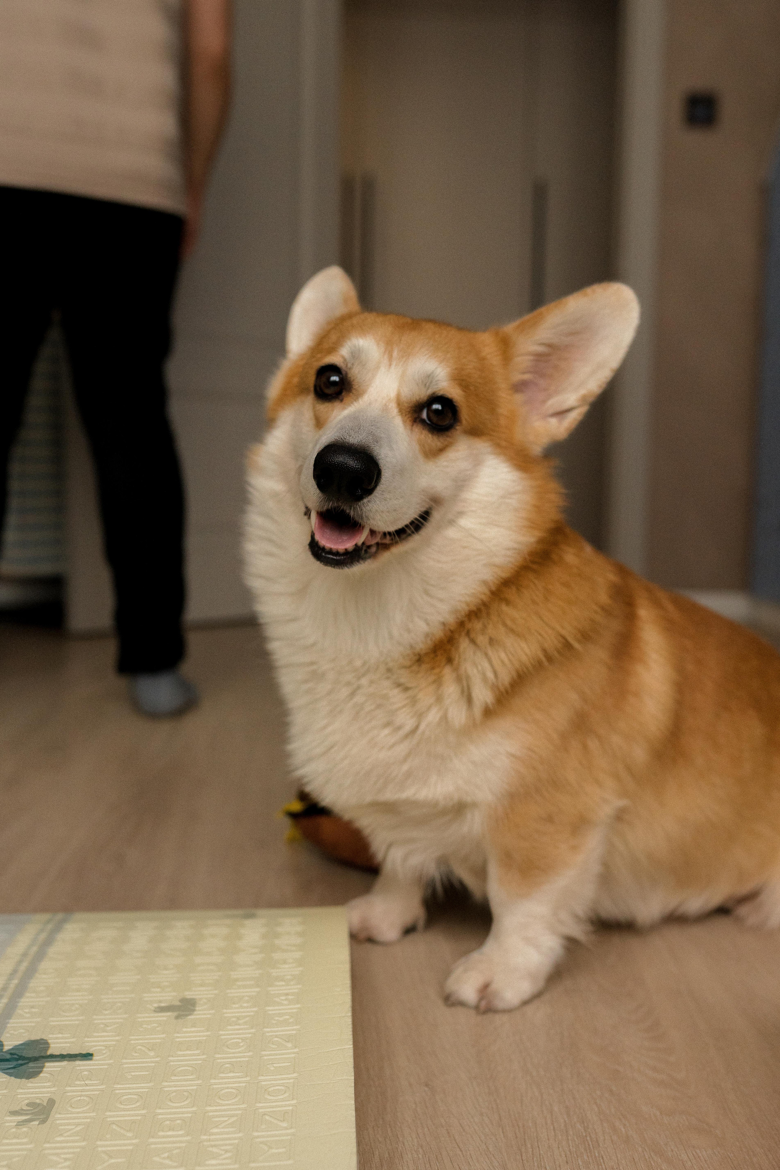 Семейная фотосессия в Москве, семейный фотограф Анна Полушина. Свадебный фотограф в Москве Анна Полушина