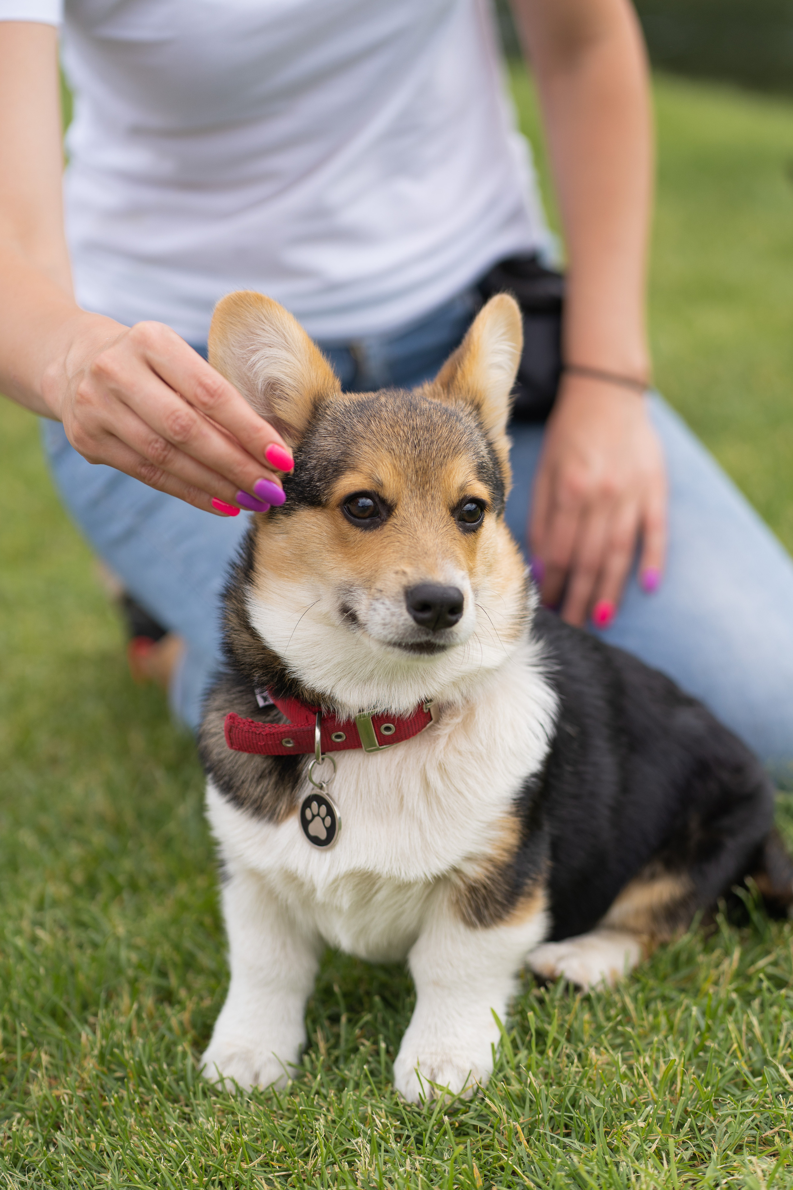 Каспер и Полина, Ботанический сад. Свадебный фотограф в Москве Анна Полушина