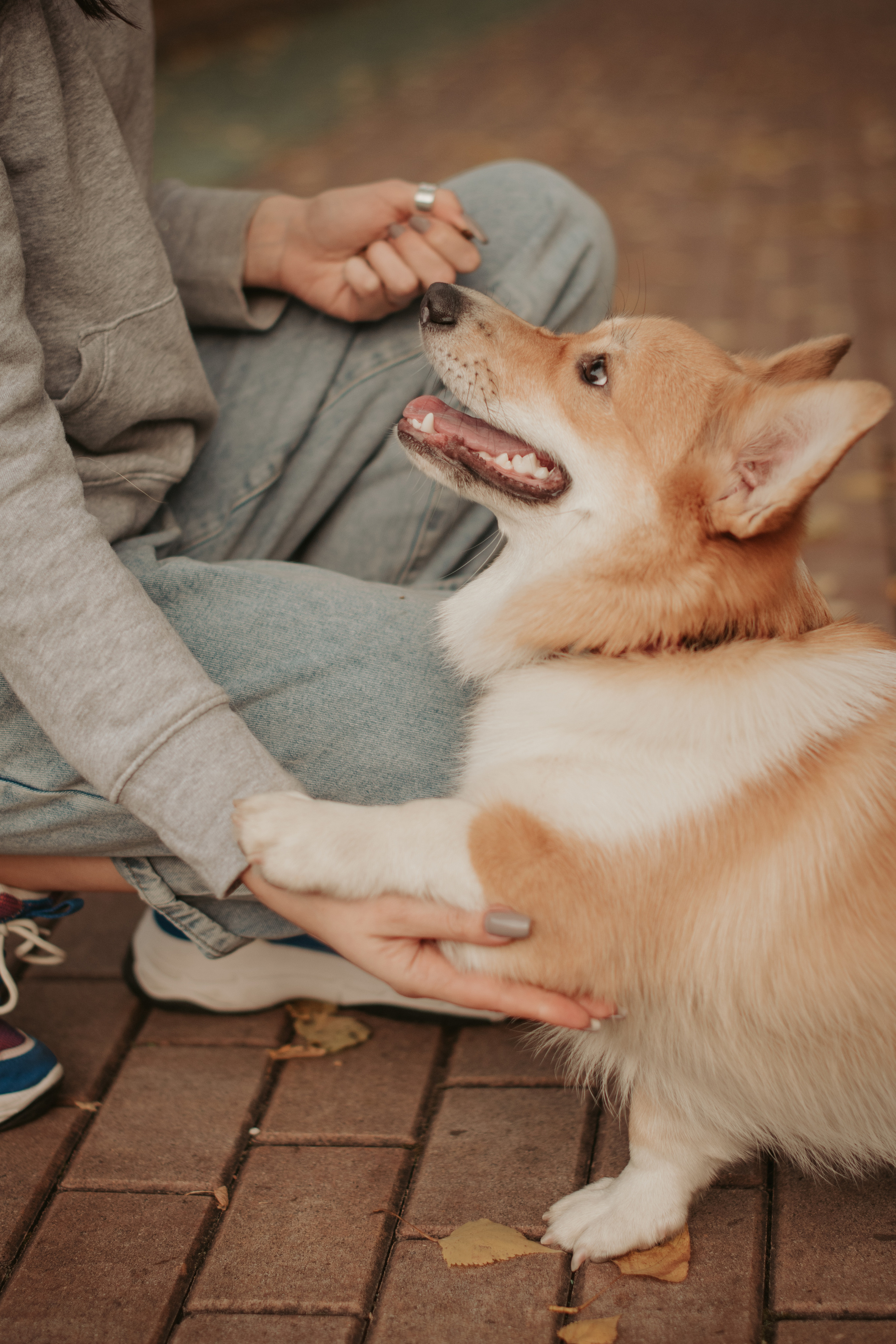 Марина и Мася, Новодевичий сквер. Свадебный фотограф в Москве Анна Полушина