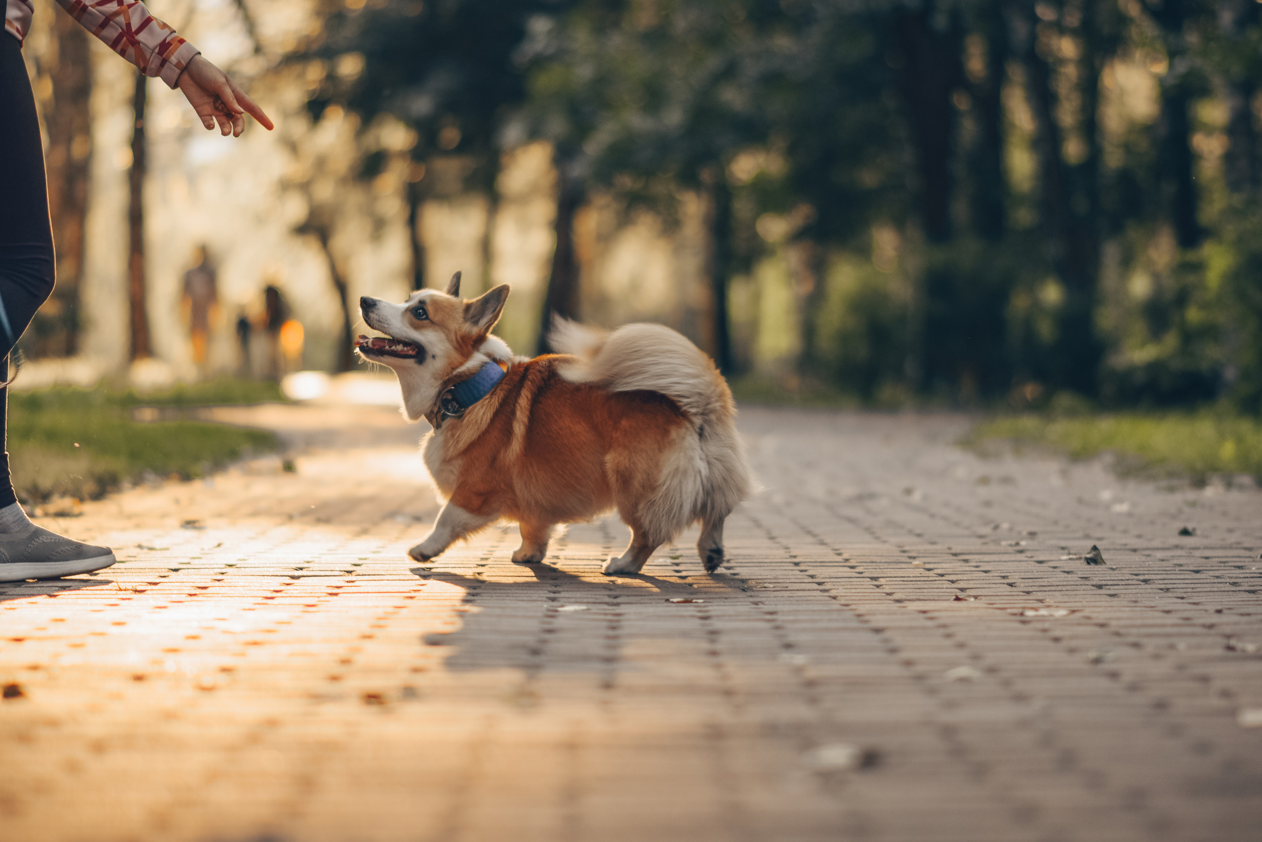 Алина и Ройс, парк на Яузе. Свадебный фотограф в Москве Анна Полушина