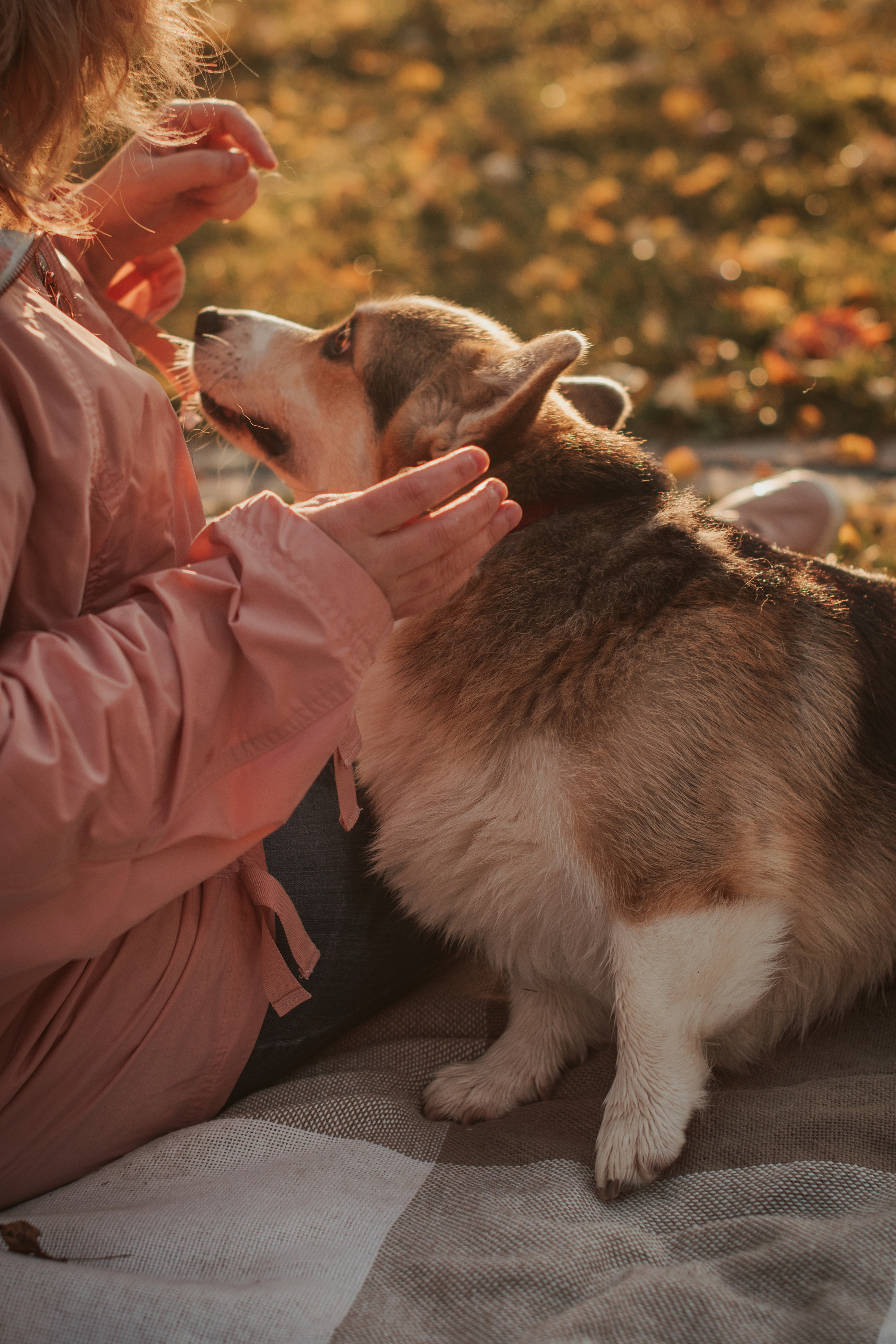 Аня и Булочка, Сокольники. Свадебный фотограф в Москве Анна Полушина