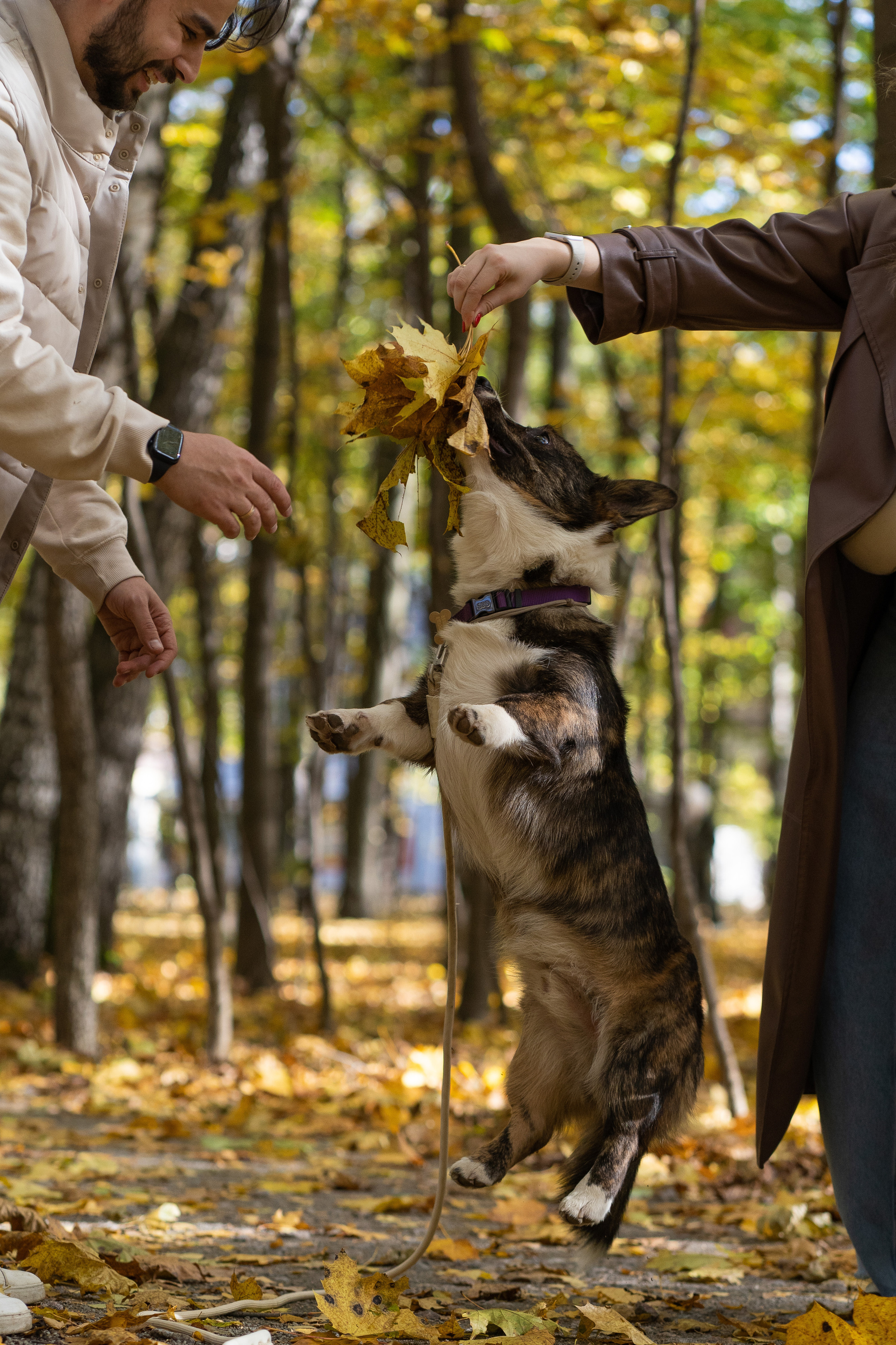 Боря, Даша и Маффин. Свадебный фотограф в Москве Анна Полушина