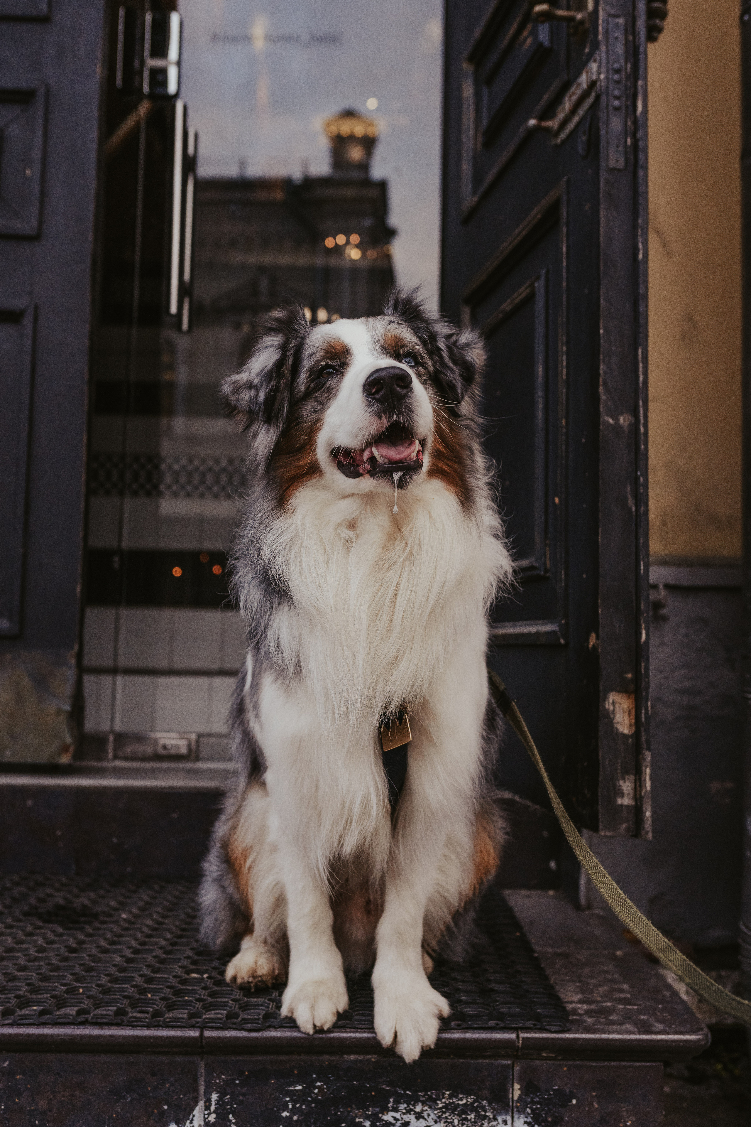 Лена и Принц, Китай- Город. Свадебный фотограф в Москве Анна Полушина