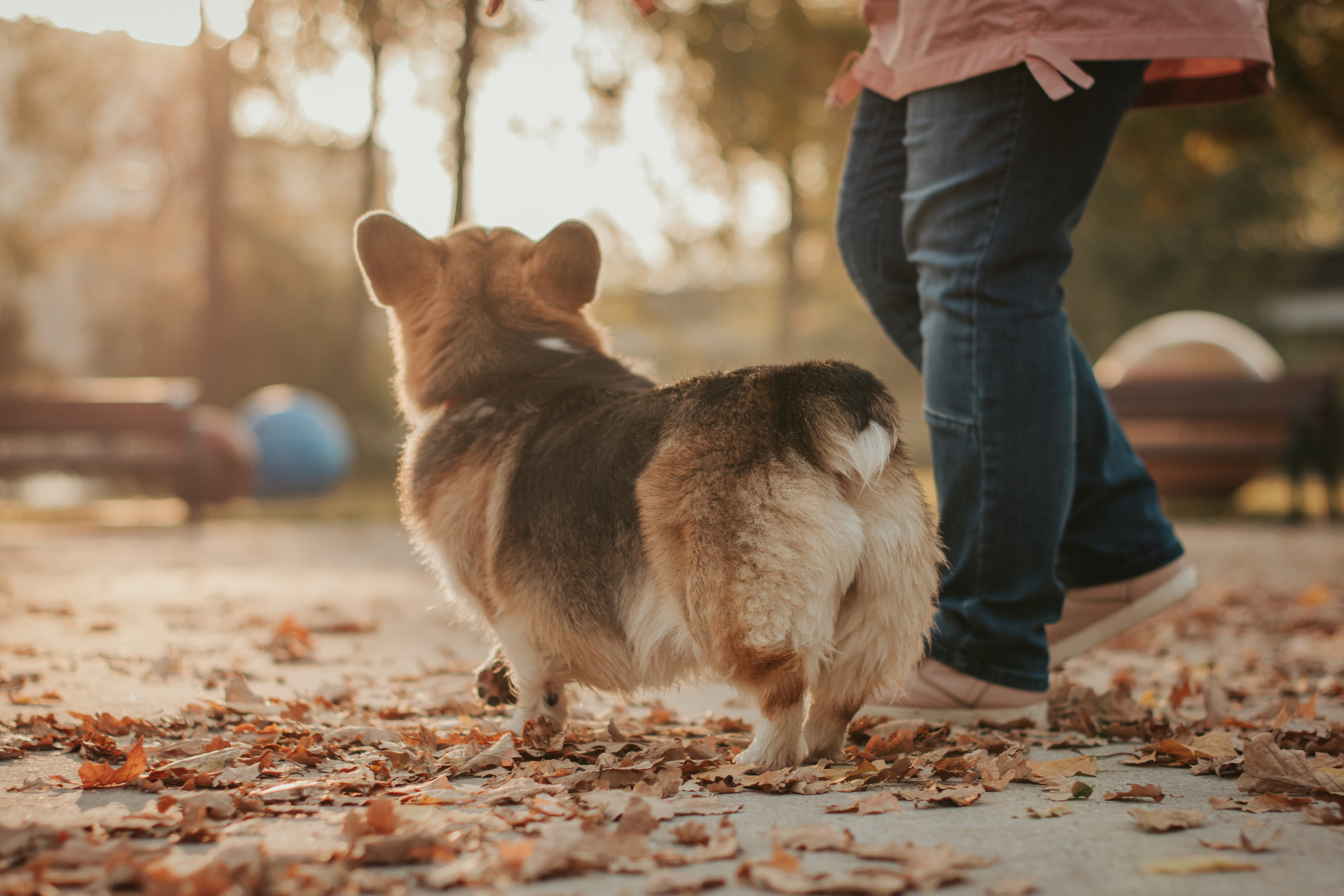 Аня и Булочка, Сокольники. Свадебный фотограф в Москве Анна Полушина