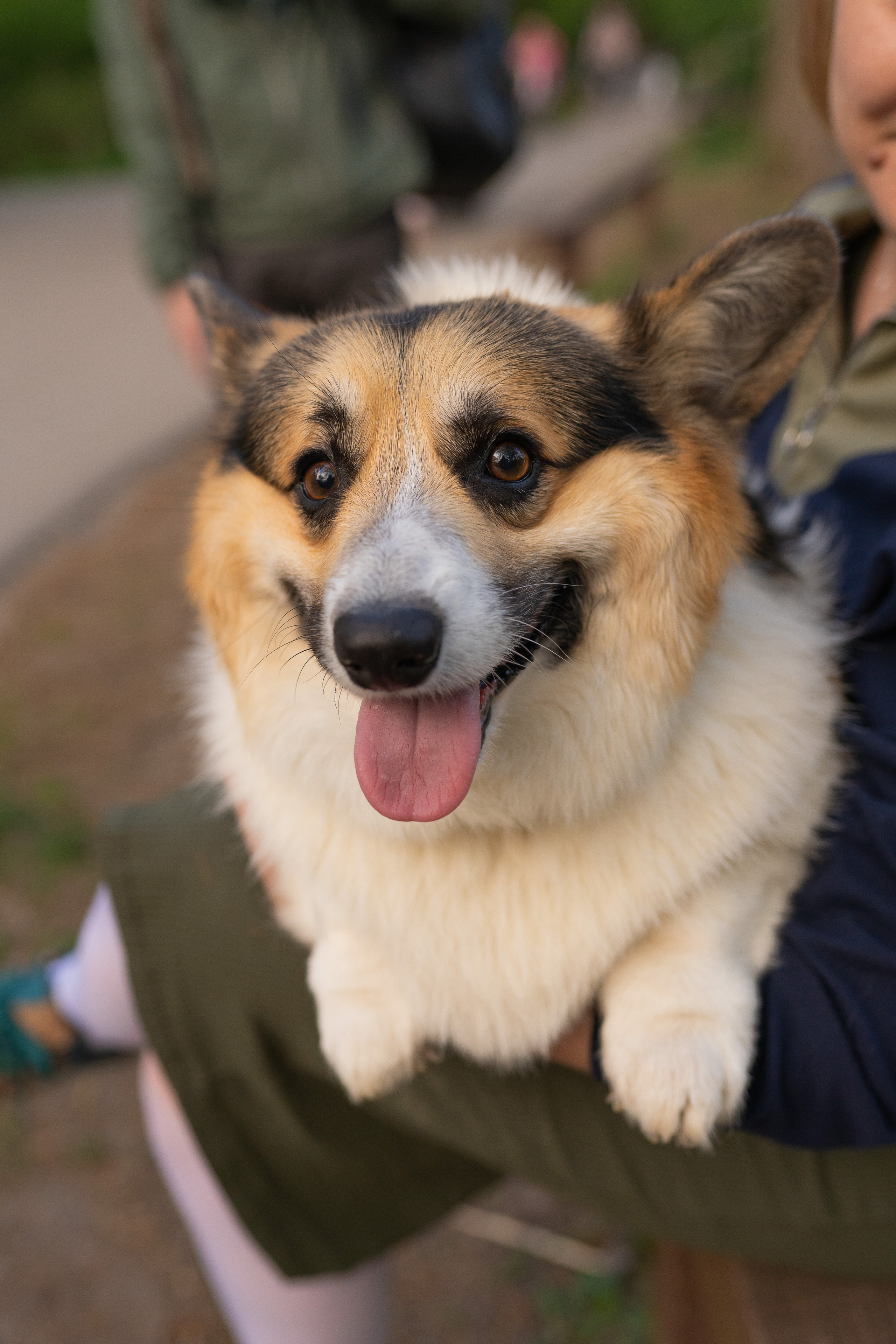 Катя и Честер, Серебряный бор. Свадебный фотограф в Москве Анна Полушина