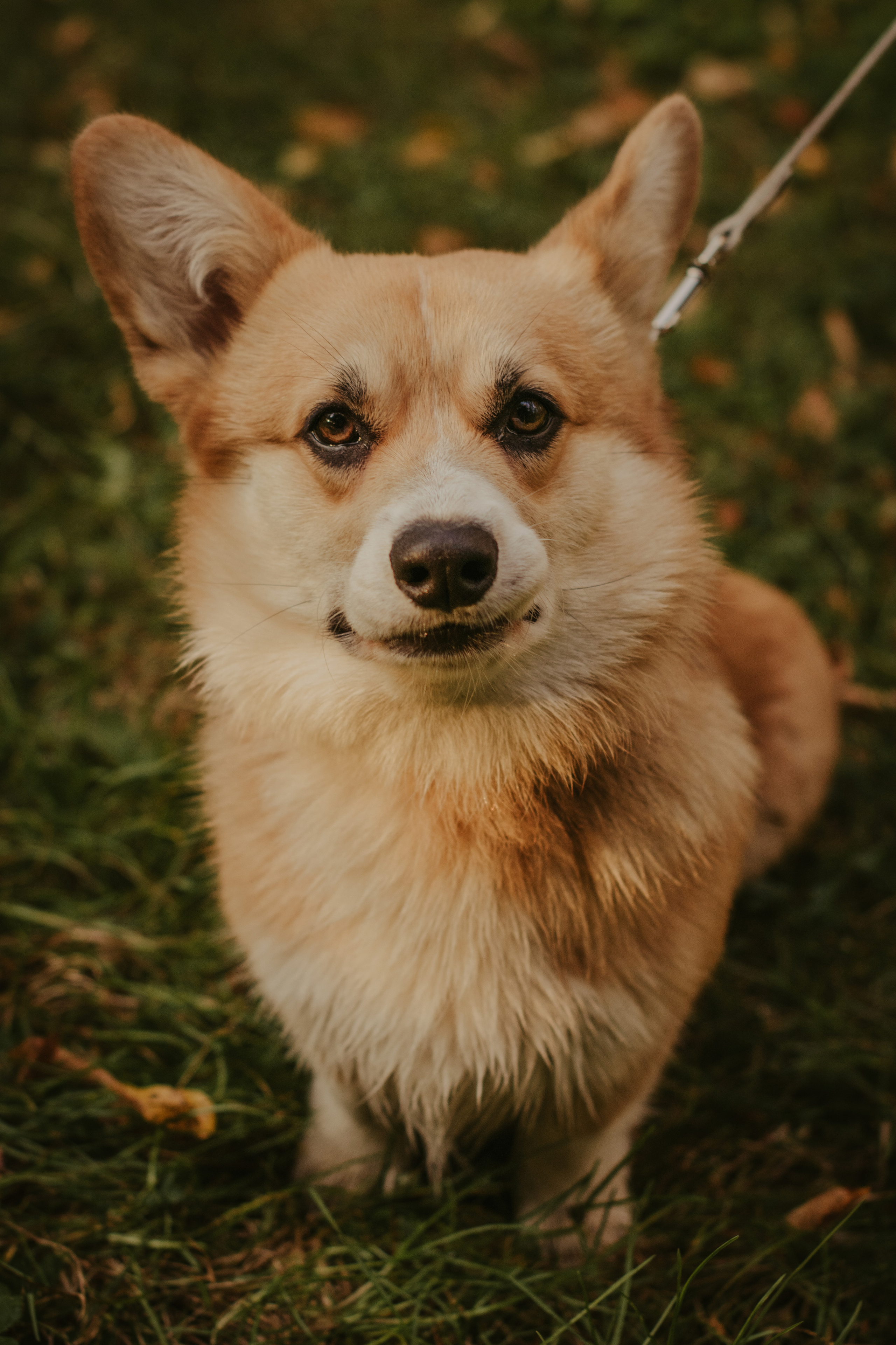 Катя и Оливер, Сокольники. Свадебный фотограф в Москве Анна Полушина