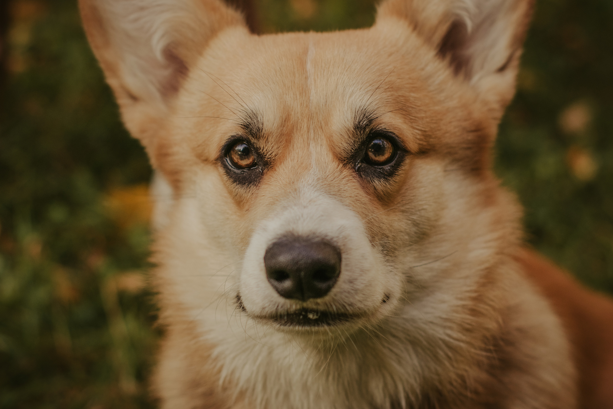 Катя и Оливер, Сокольники. Свадебный фотограф в Москве Анна Полушина