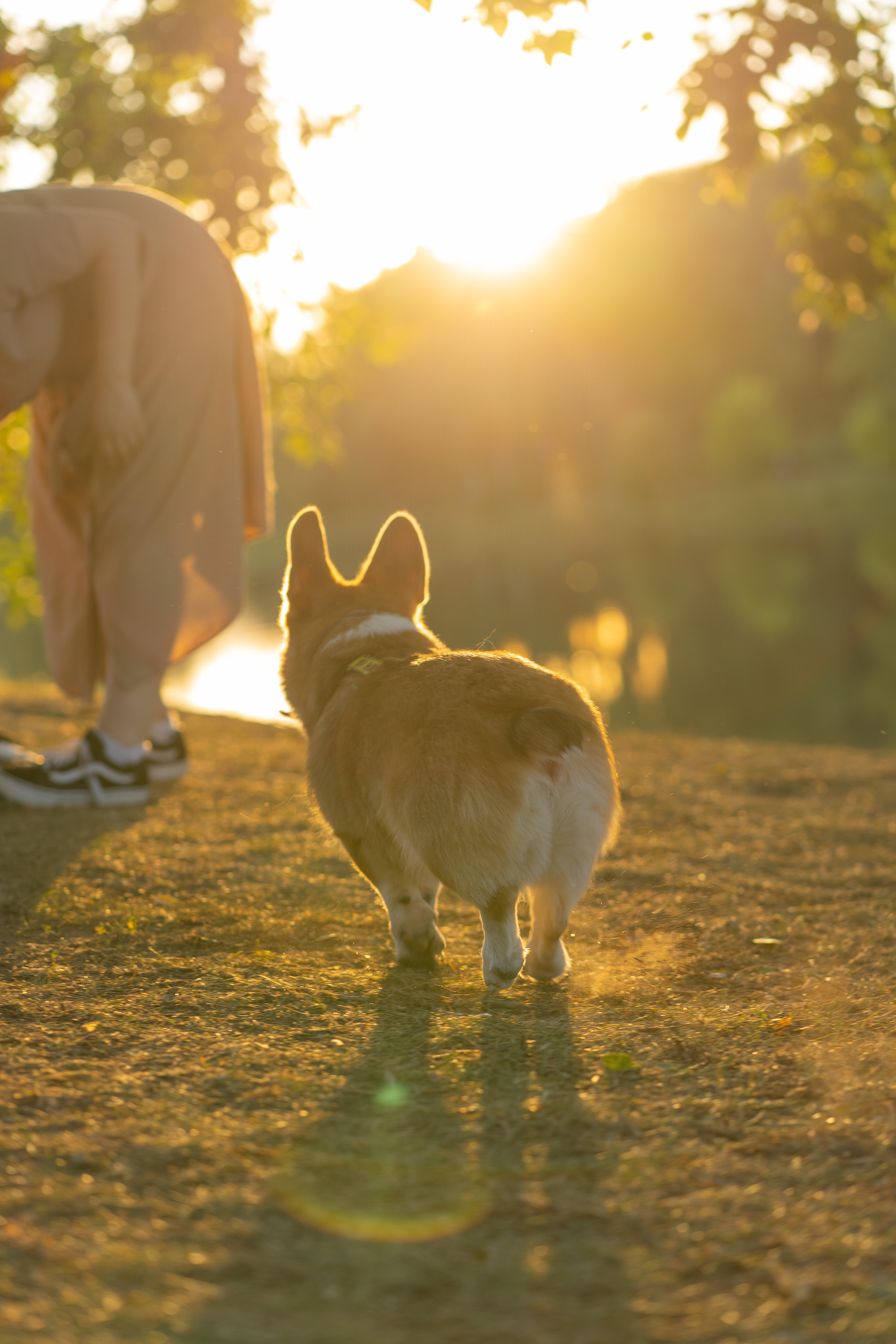 Катя и Боря, Джамгаровский парк. Свадебный фотограф в Москве Анна Полушина