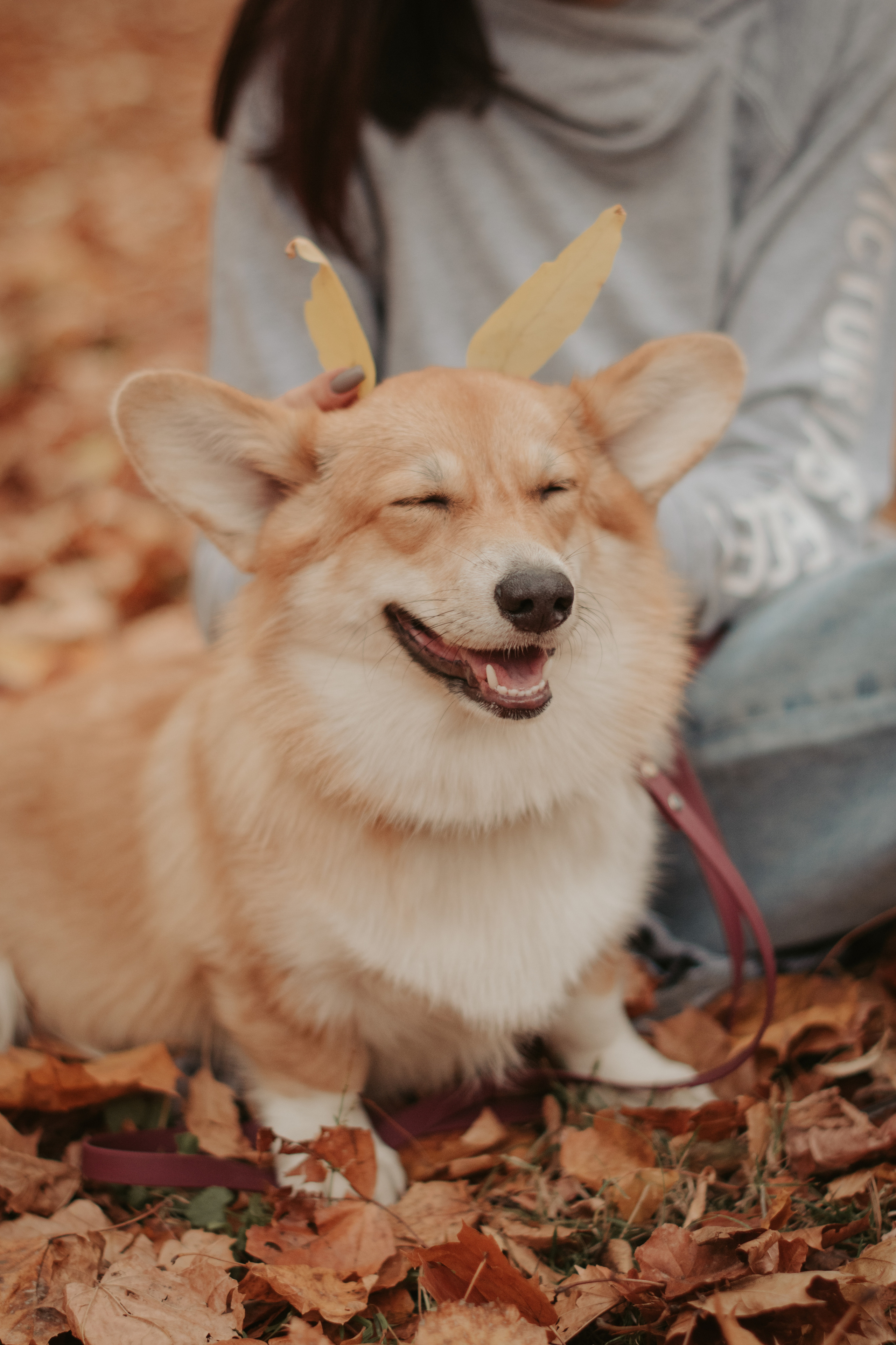 Марина и Мася, Новодевичий сквер. Свадебный фотограф в Москве Анна Полушина