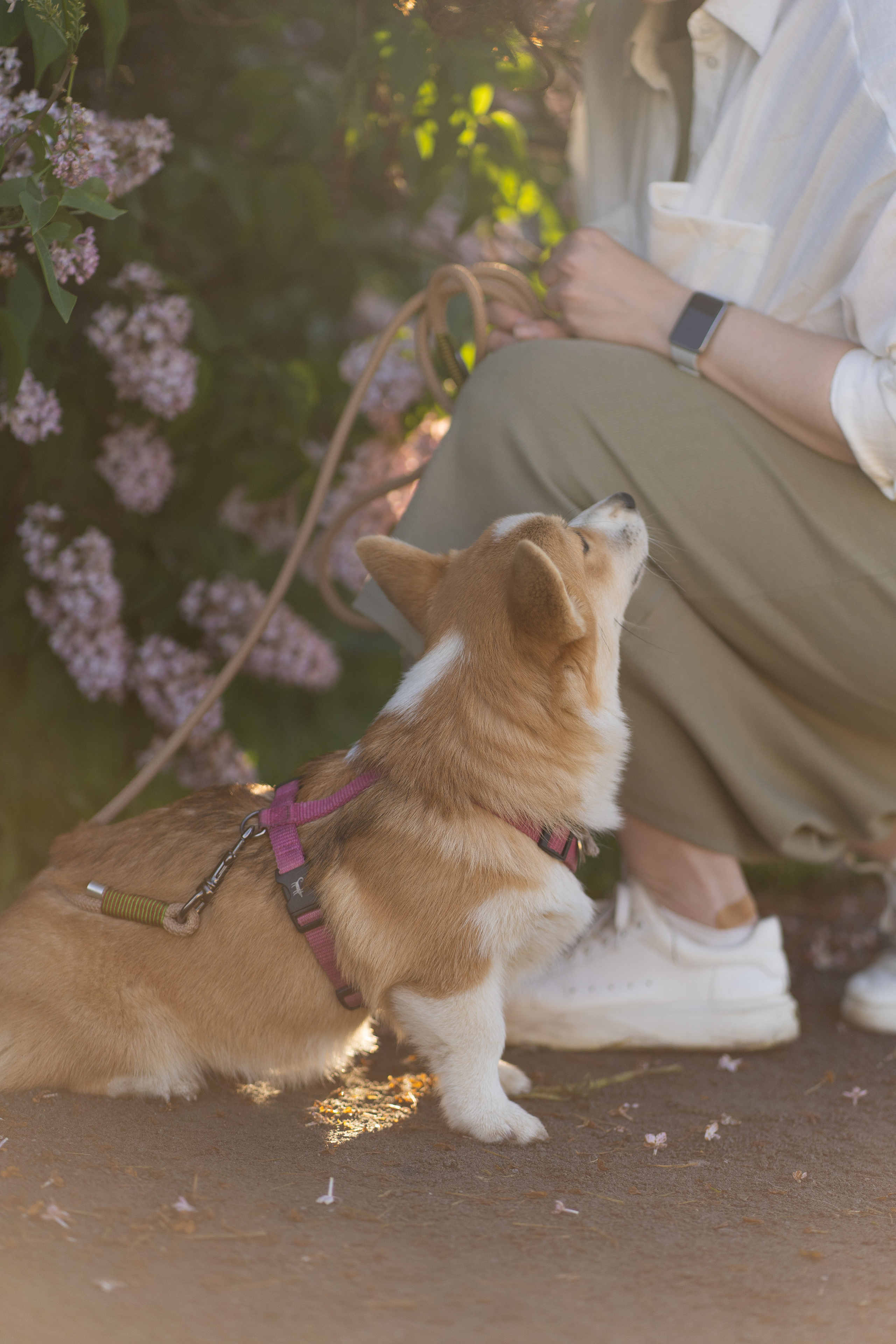 Полина и Стеша, Сиреневый сад. Свадебный фотограф в Москве Анна Полушина