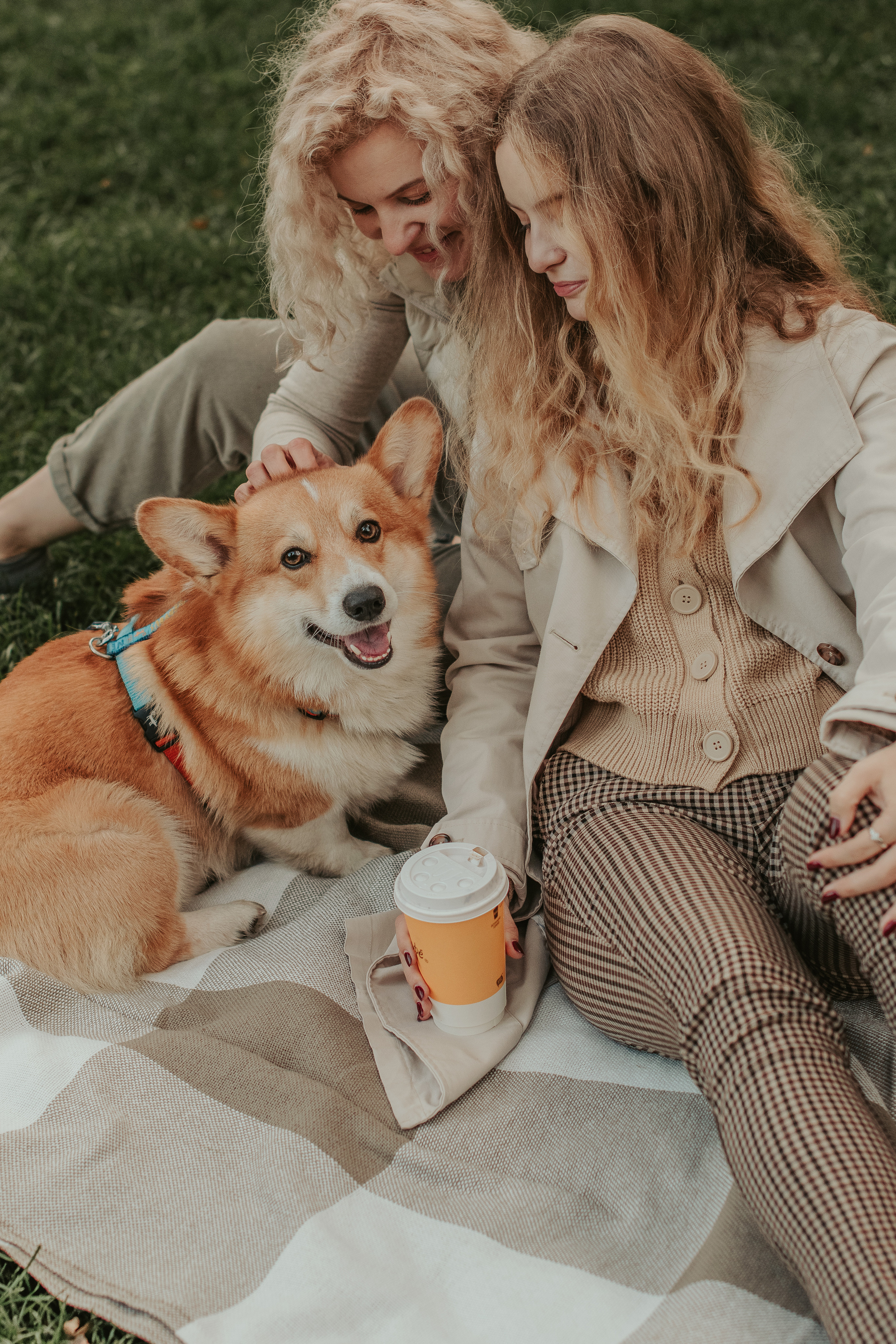 Наташа, Даша и Кевин. Свадебный фотограф в Москве Анна Полушина