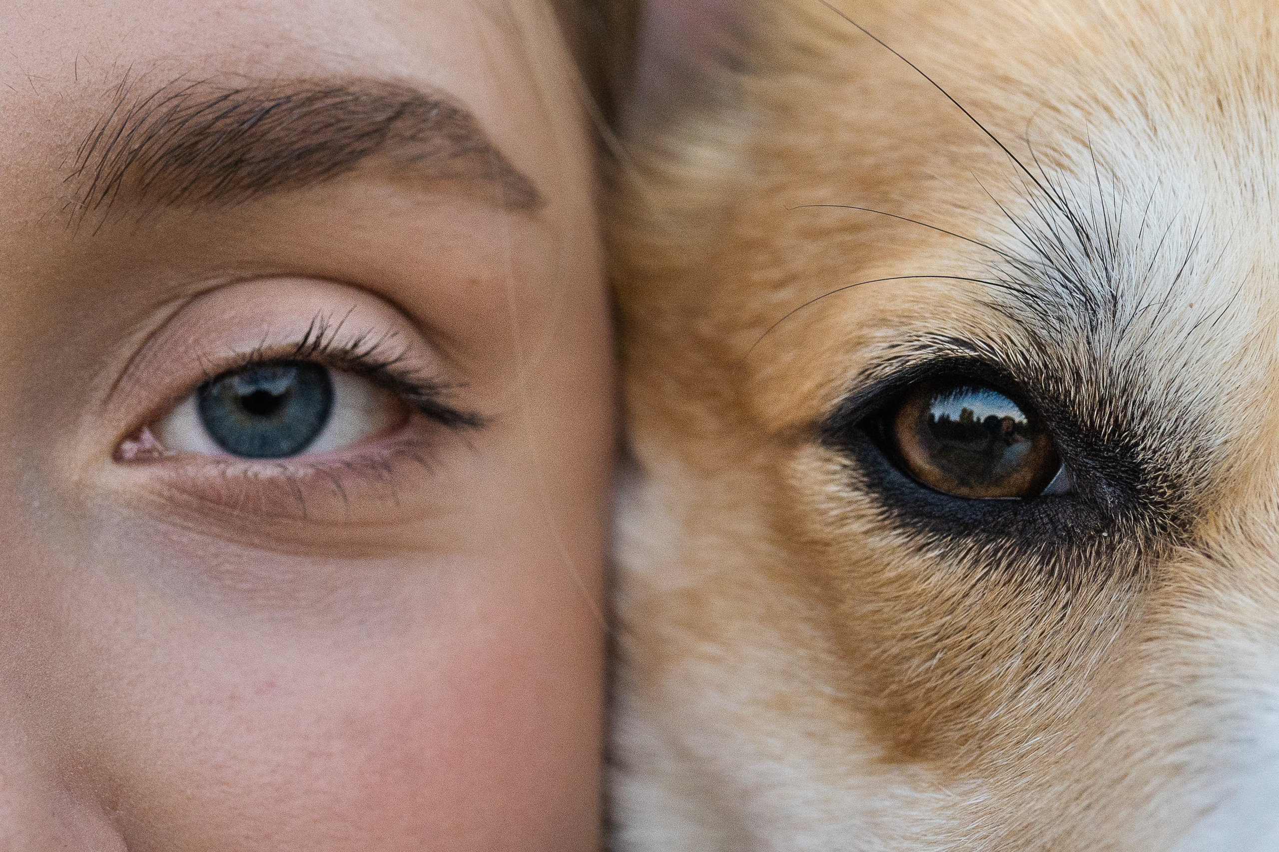 Катя и Боря, Джамгаровский парк. Свадебный фотограф в Москве Анна Полушина