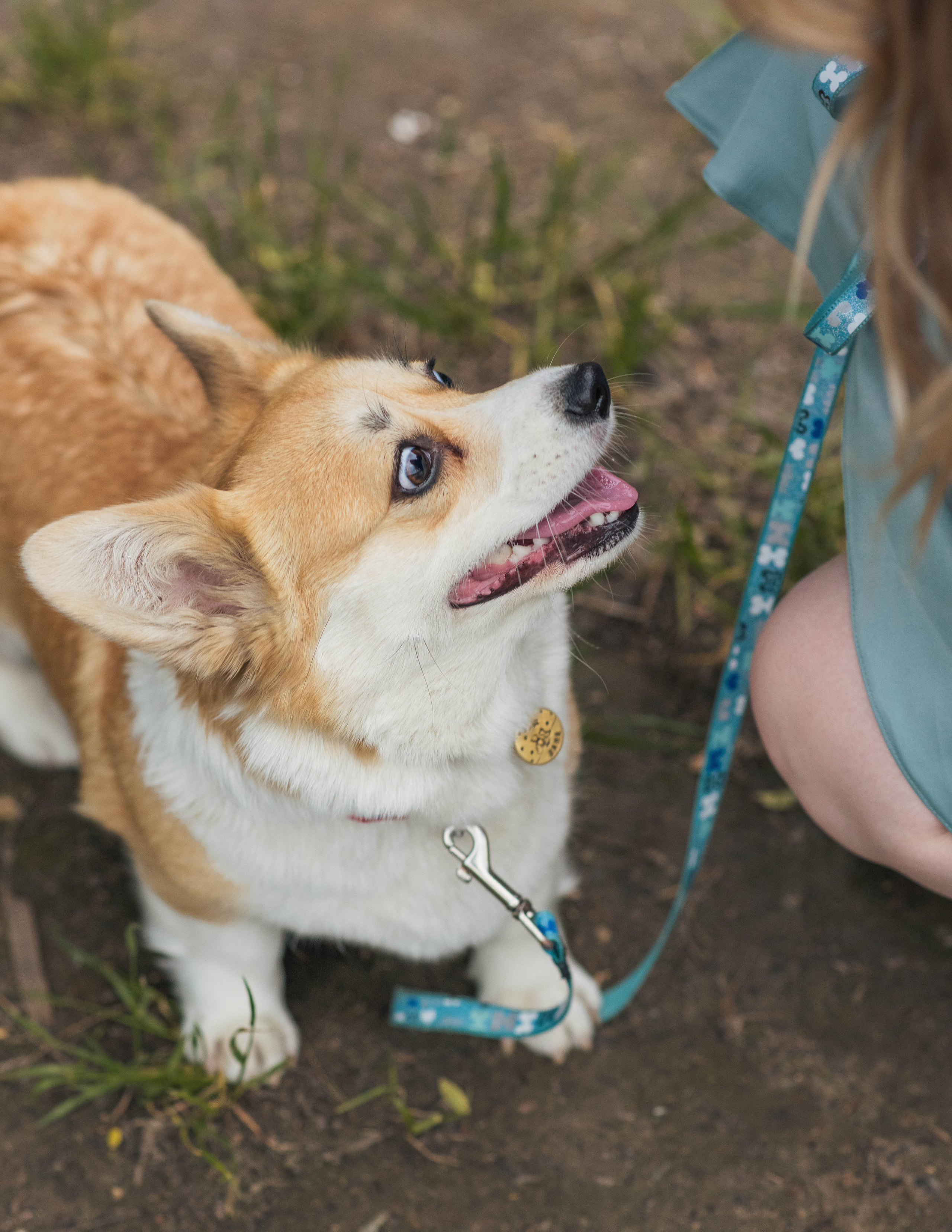 Юлия и Шаня, Покровское-Стрешнево. Свадебный фотограф в Москве Анна Полушина
