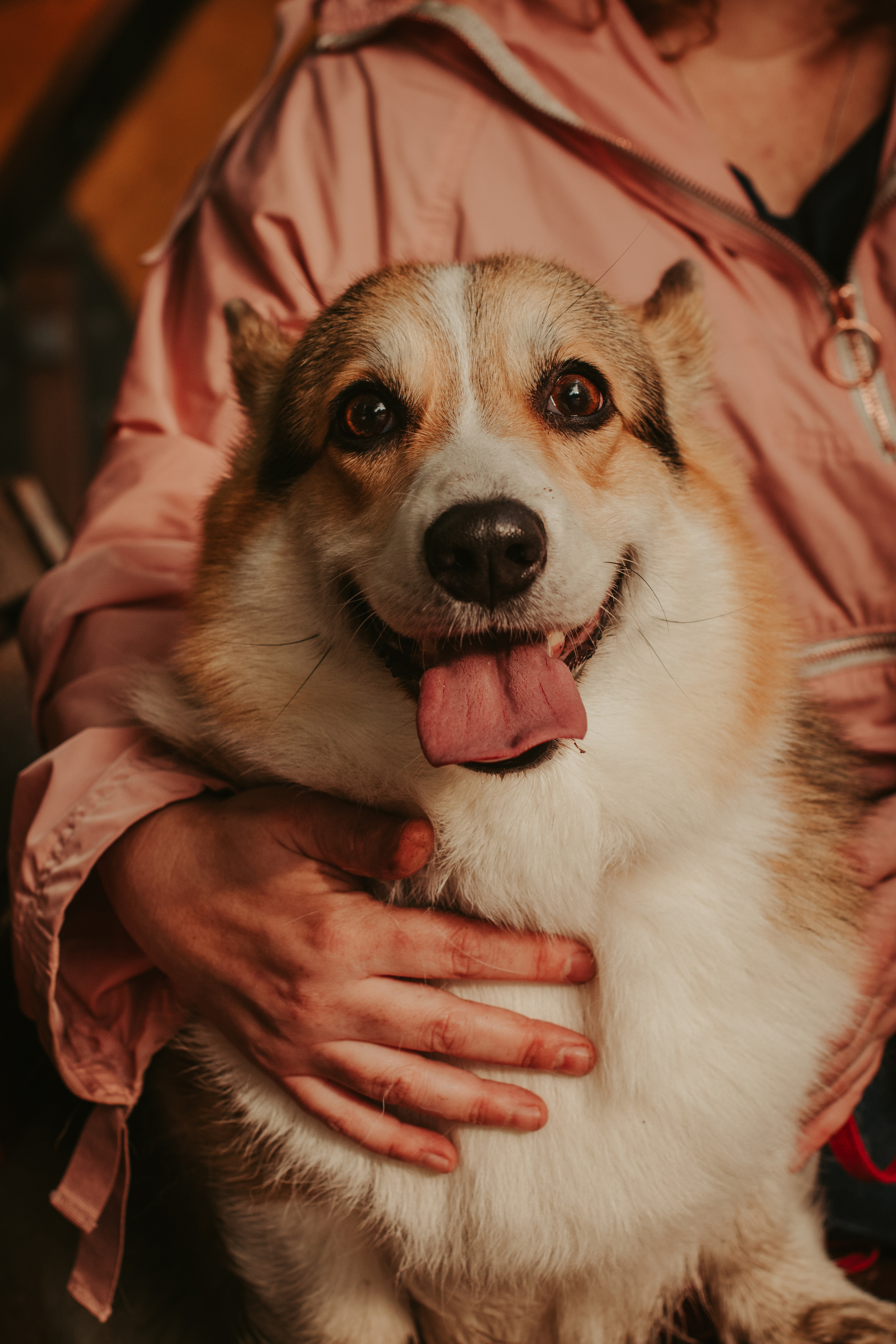 Аня и Булочка, Сокольники. Свадебный фотограф в Москве Анна Полушина