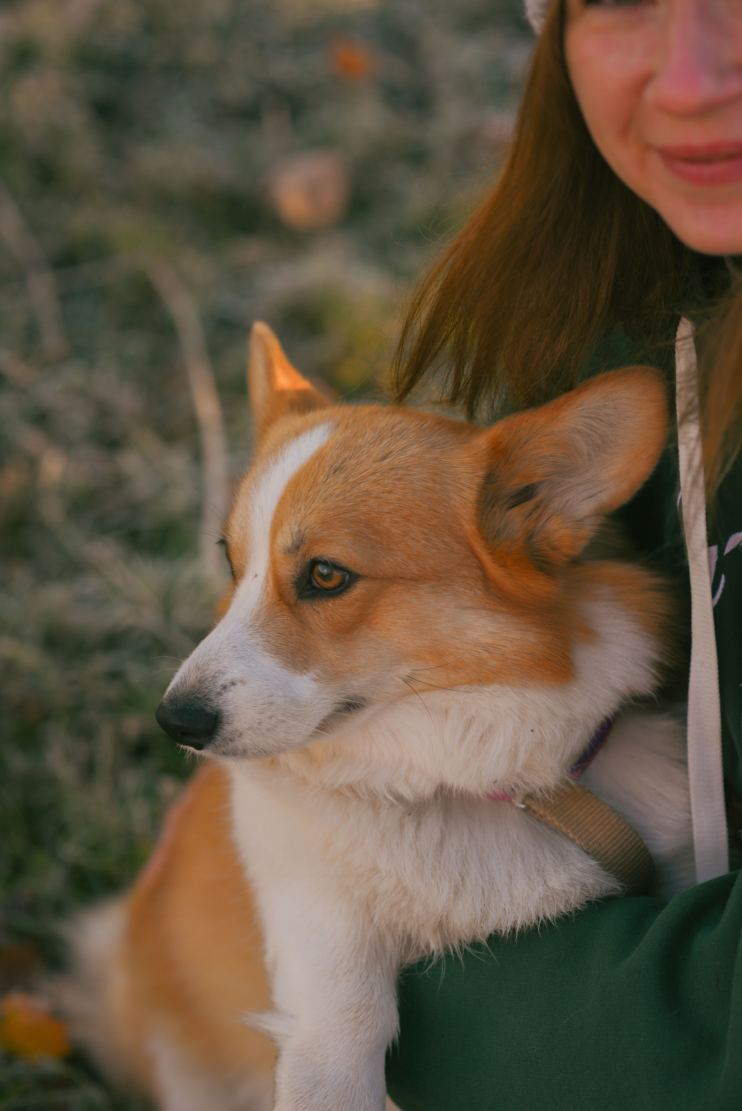Фотосессия с питомцем в Москве. Свадебный фотограф в Москве Анна Полушина