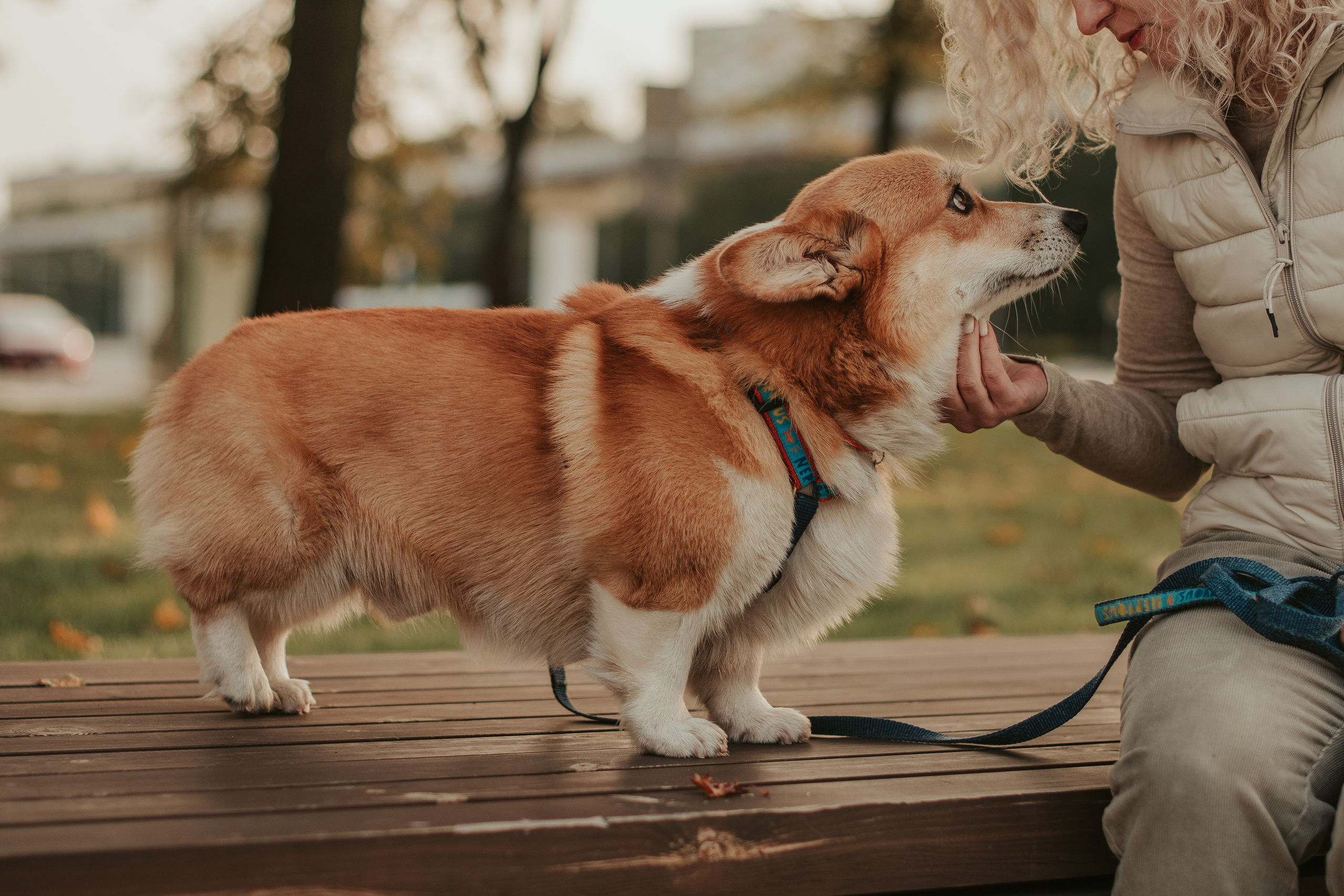 Наташа, Даша и Кевин. Свадебный фотограф в Москве Анна Полушина