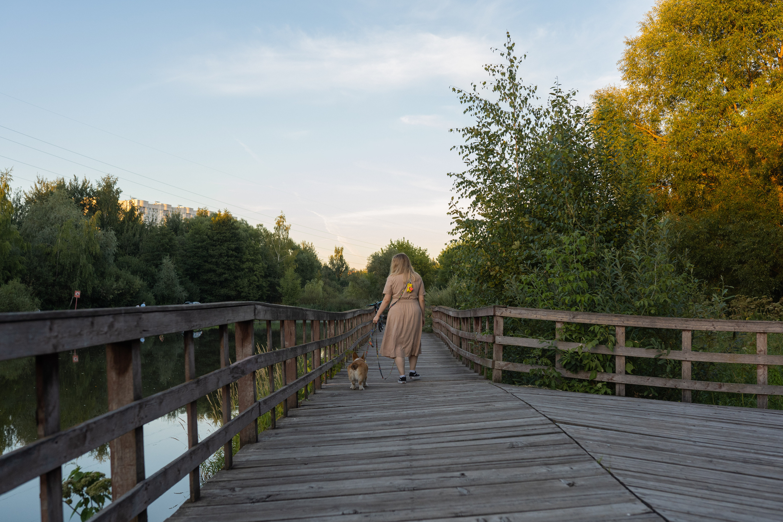 Катя и Боря, Джамгаровский парк. Свадебный фотограф в Москве Анна Полушина
