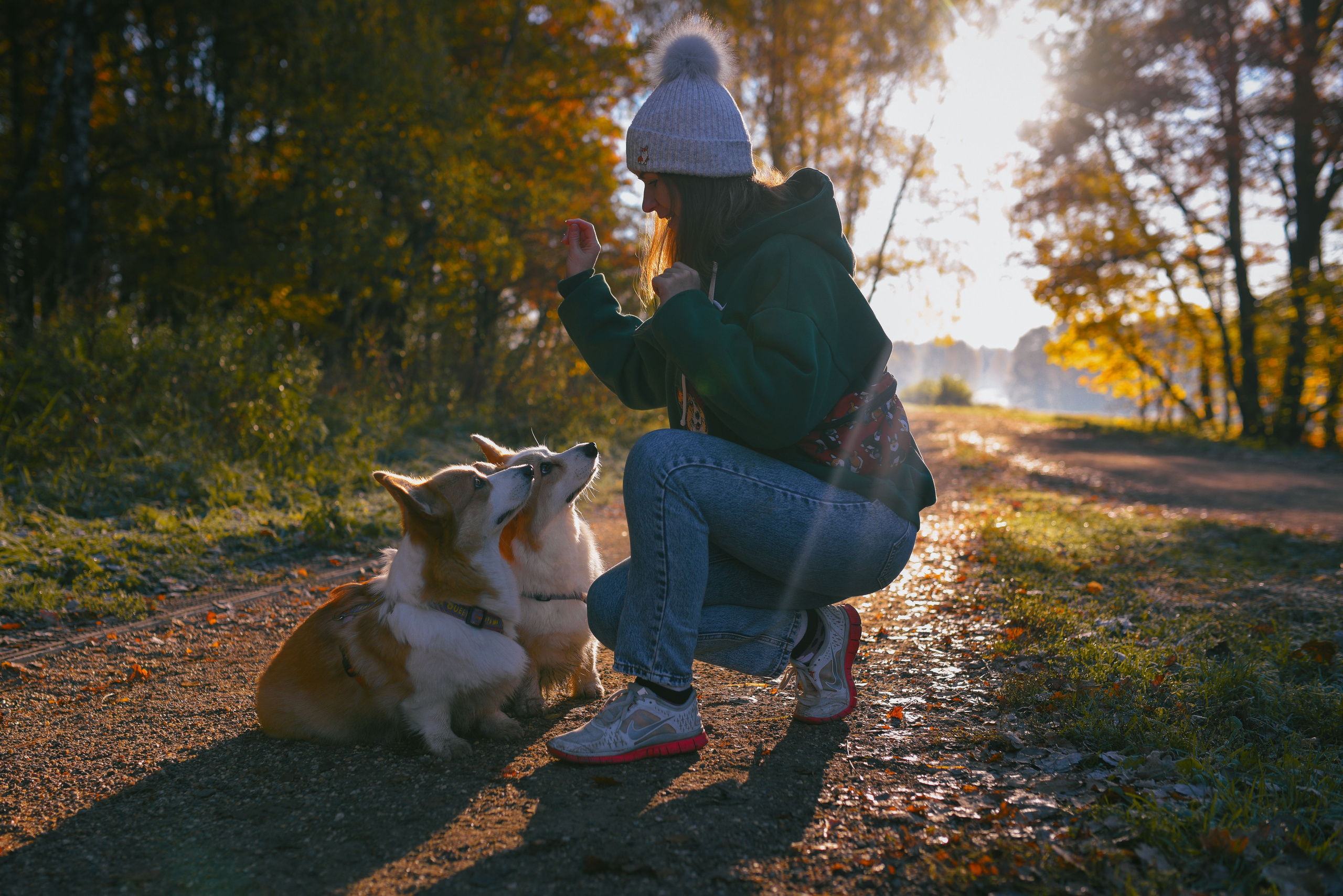 Фотосессия с питомцем в Москве. Свадебный фотограф в Москве Анна Полушина