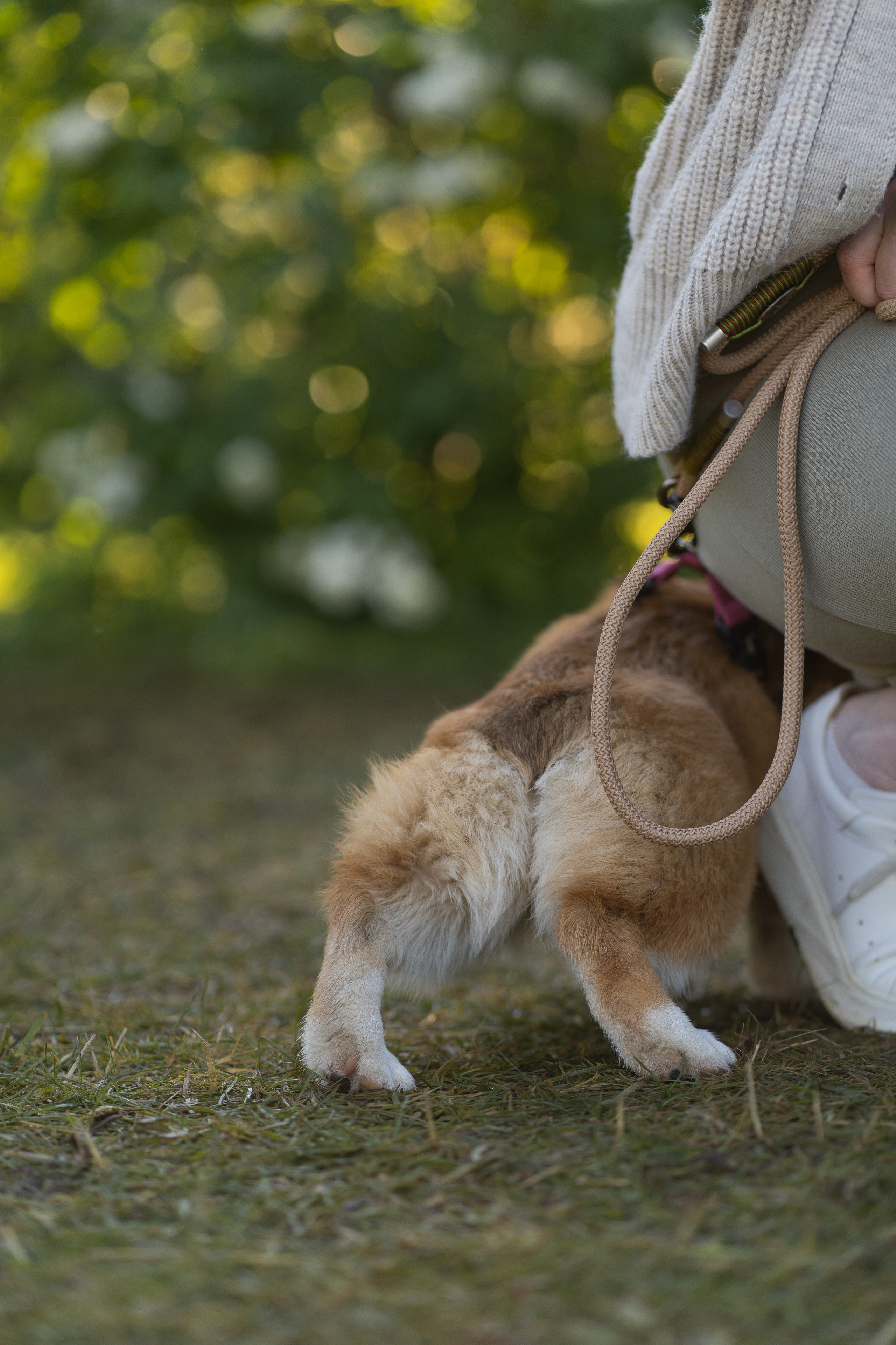 Полина и Стеша, Сиреневый сад. Свадебный фотограф в Москве Анна Полушина