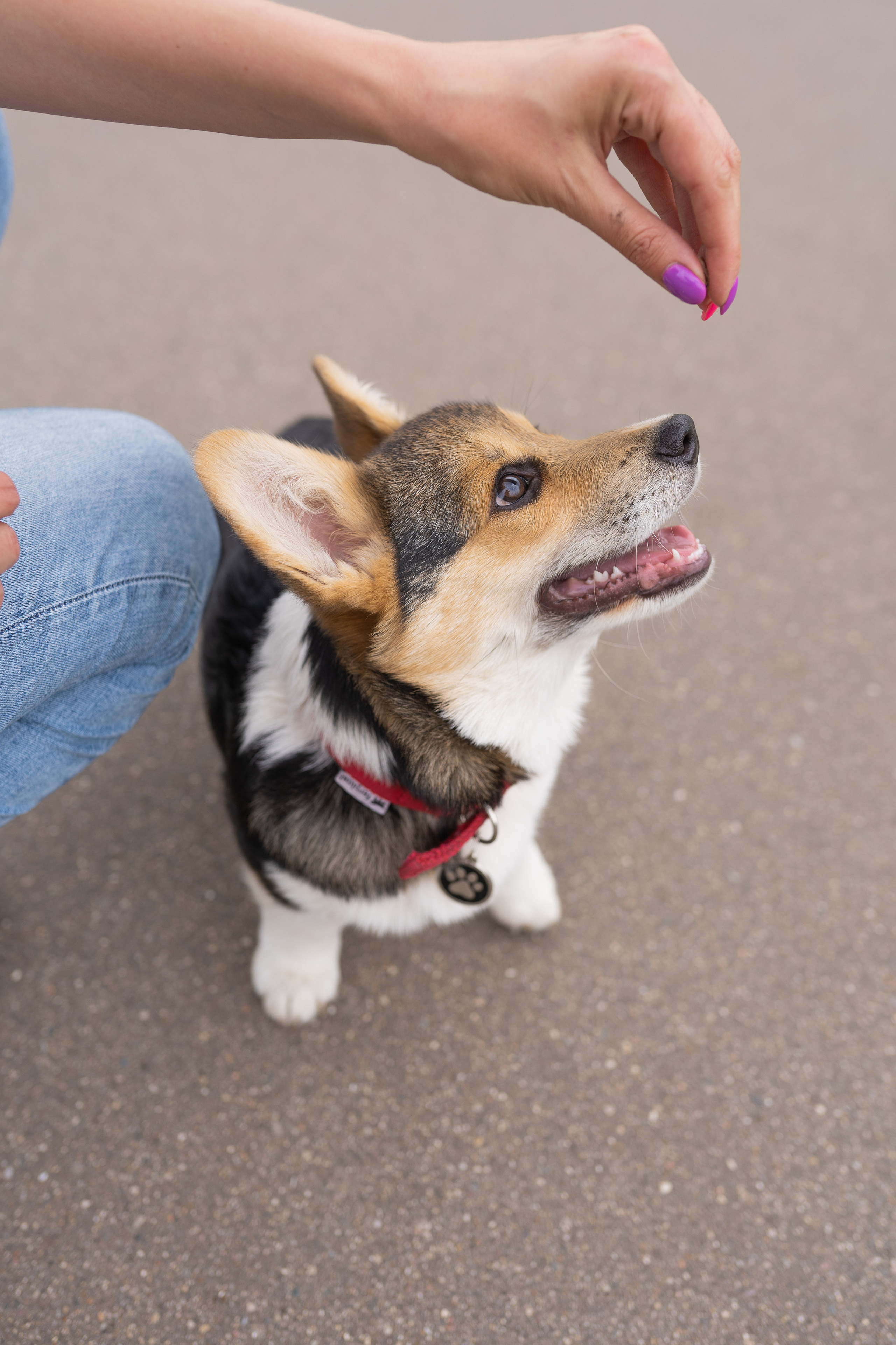 Каспер и Полина, Ботанический сад. Свадебный фотограф в Москве Анна Полушина