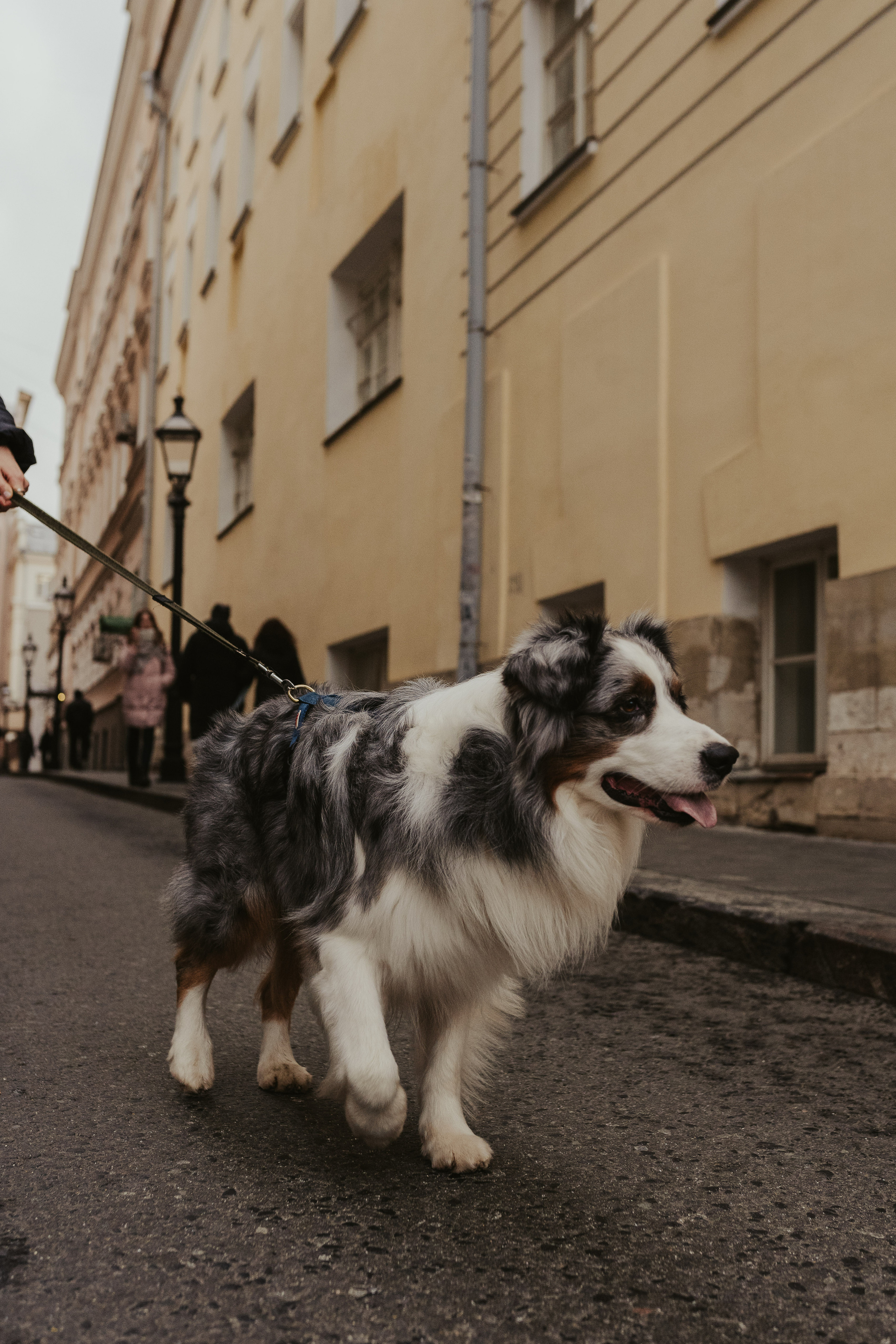 Лена и Принц, Китай- Город. Свадебный фотограф в Москве Анна Полушина