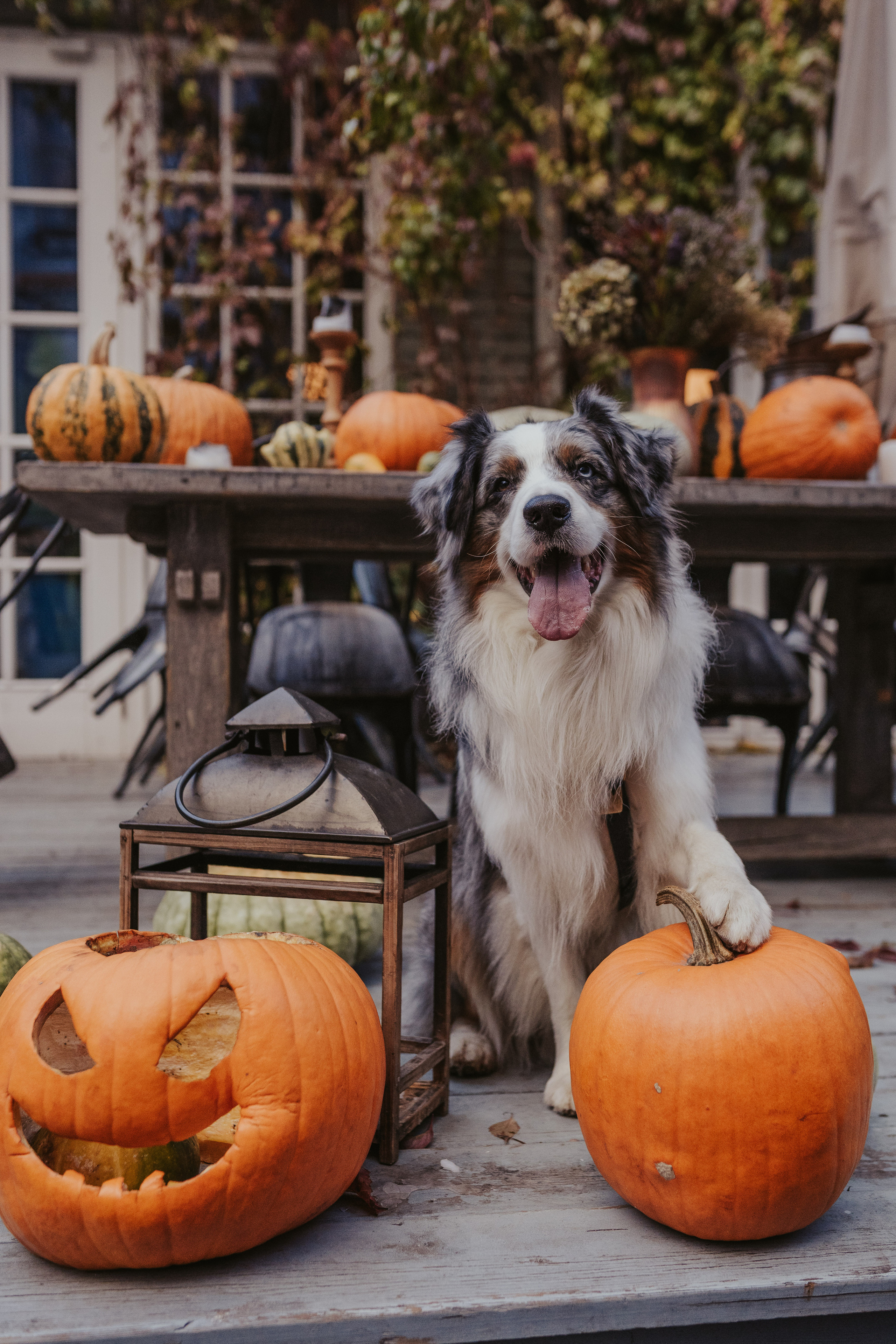 Лена и Принц, Китай- Город. Свадебный фотограф в Москве Анна Полушина