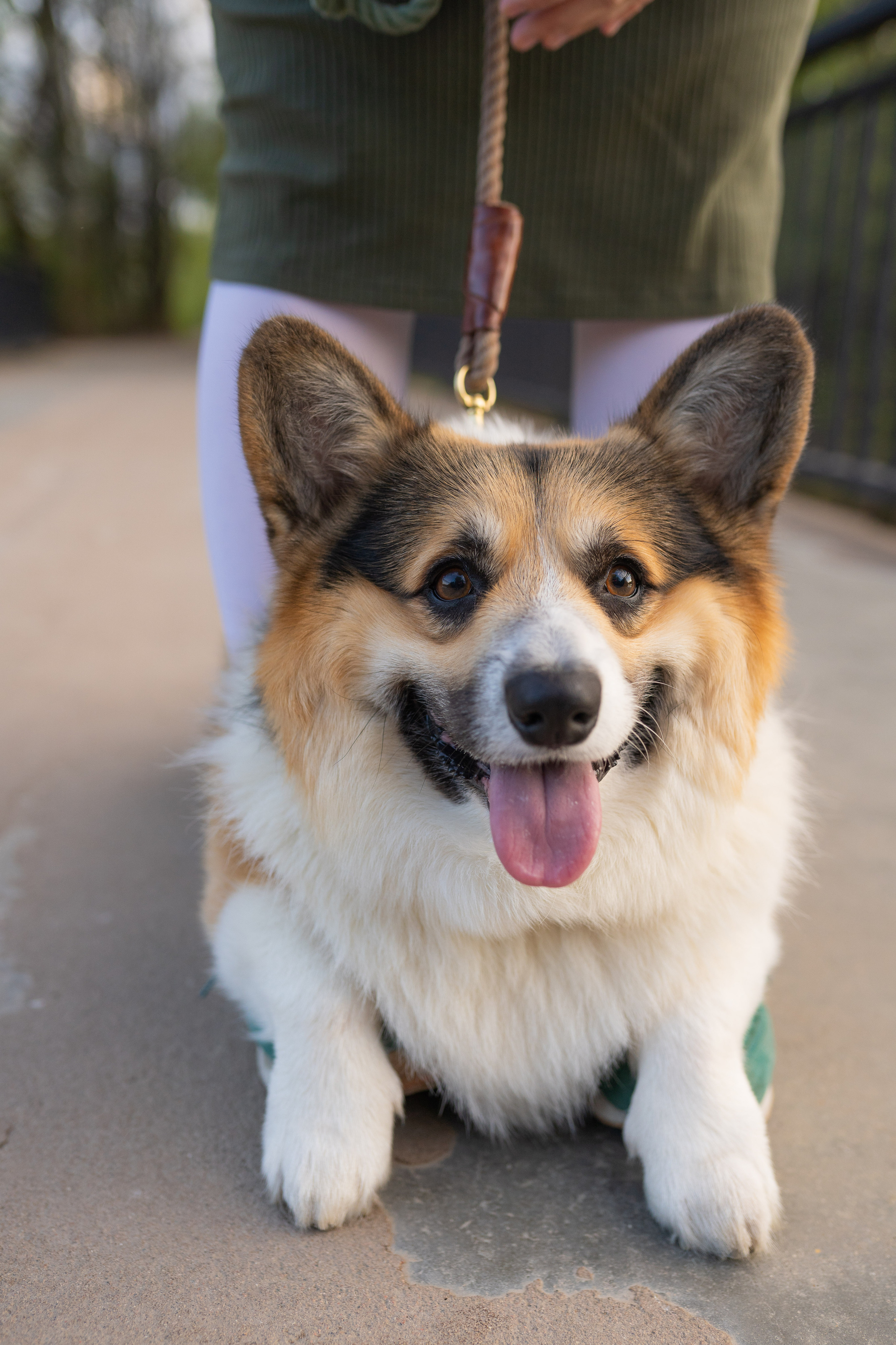 Катя и Честер, Серебряный бор. Свадебный фотограф в Москве Анна Полушина