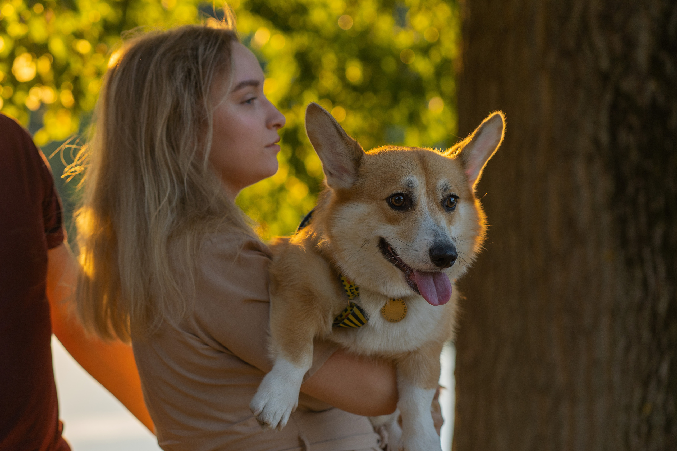 Катя и Боря, Джамгаровский парк. Свадебный фотограф в Москве Анна Полушина