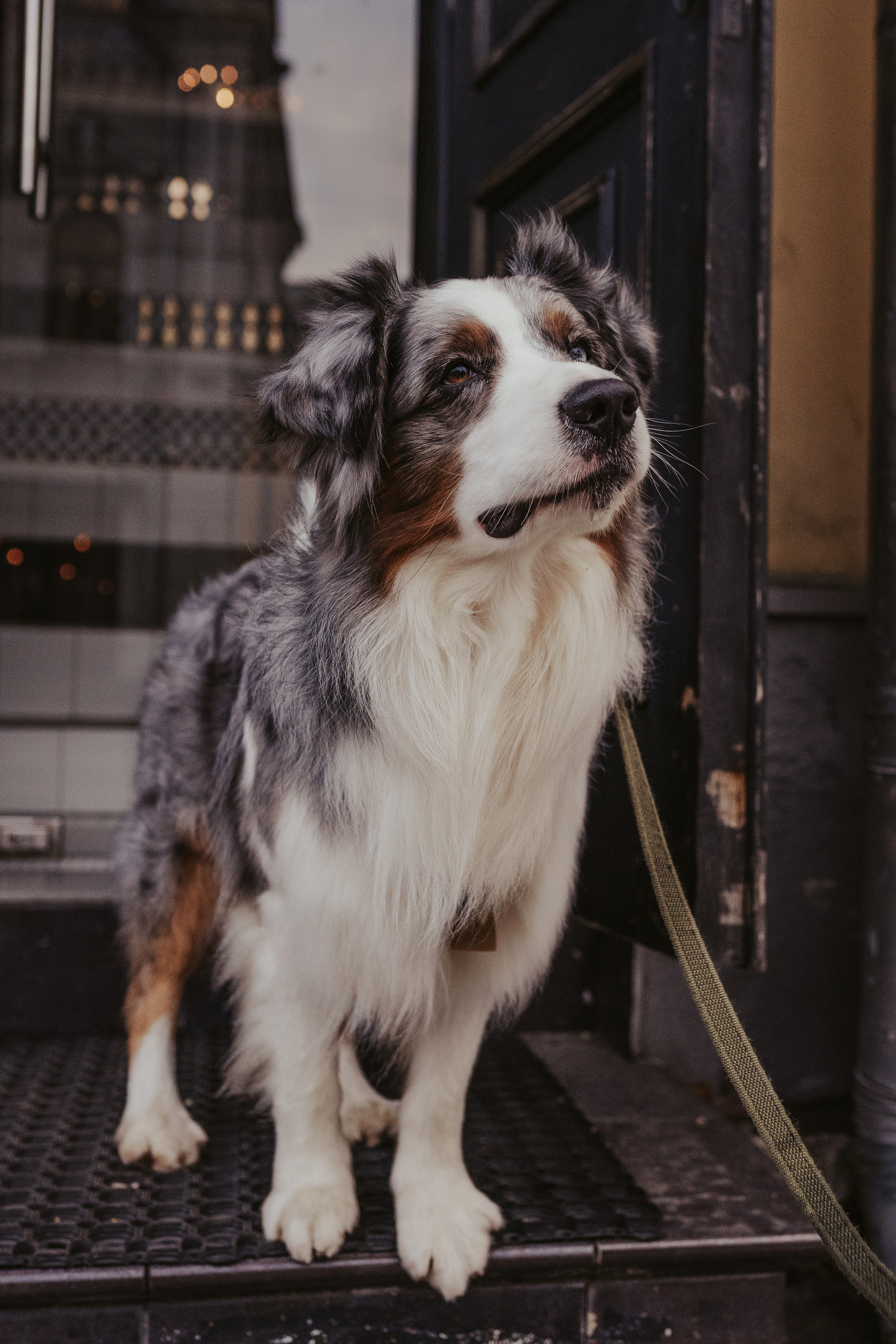 Лена и Принц, Китай- Город. Свадебный фотограф в Москве Анна Полушина