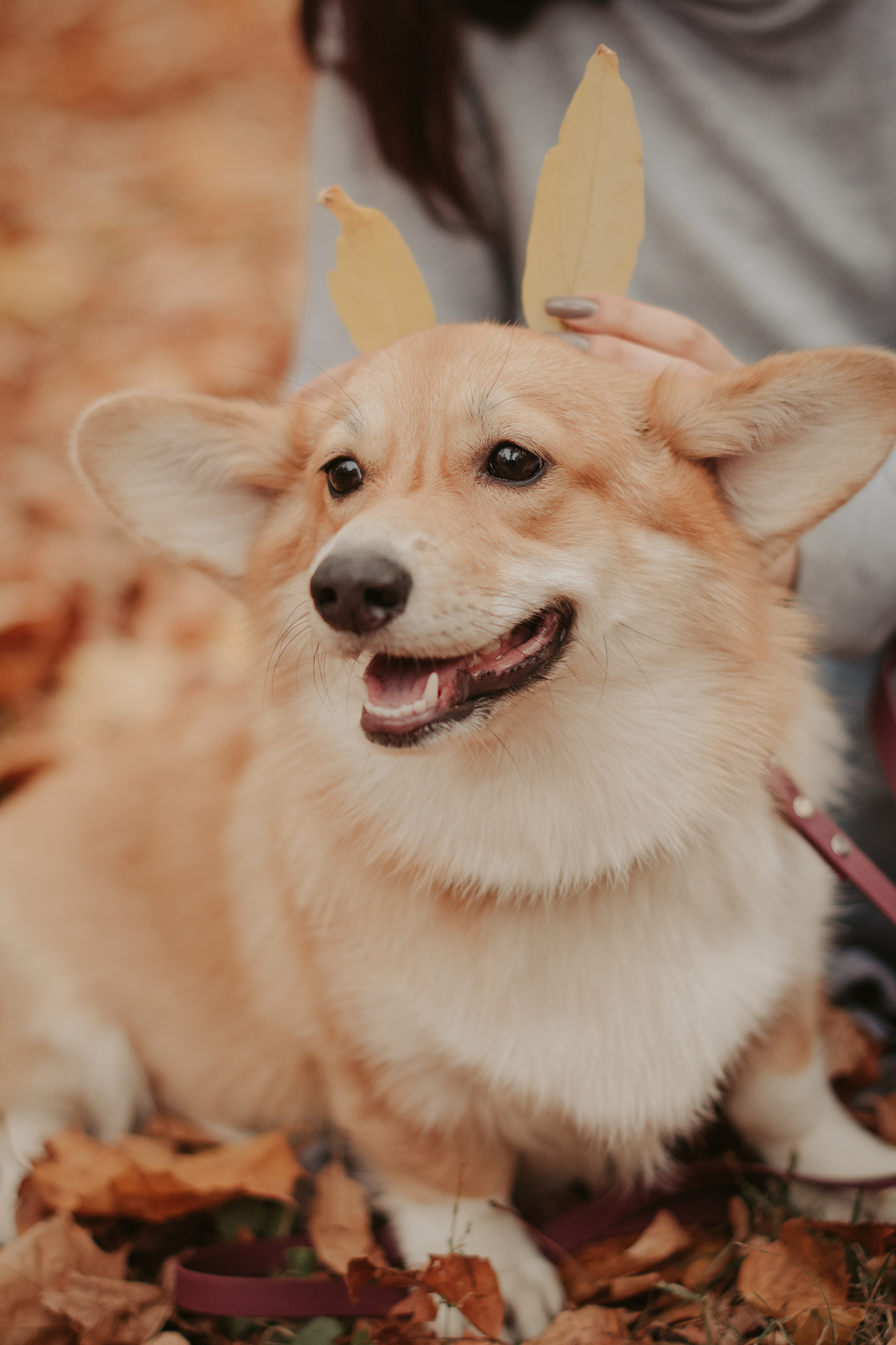 Марина и Мася, Новодевичий сквер. Свадебный фотограф в Москве Анна Полушина