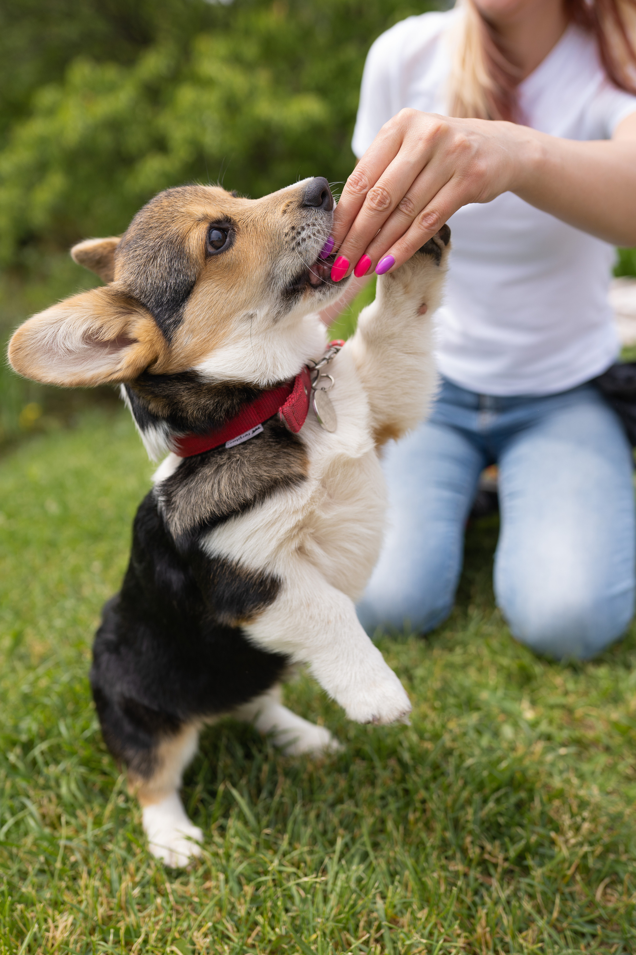 Каспер и Полина, Ботанический сад. Свадебный фотограф в Москве Анна Полушина