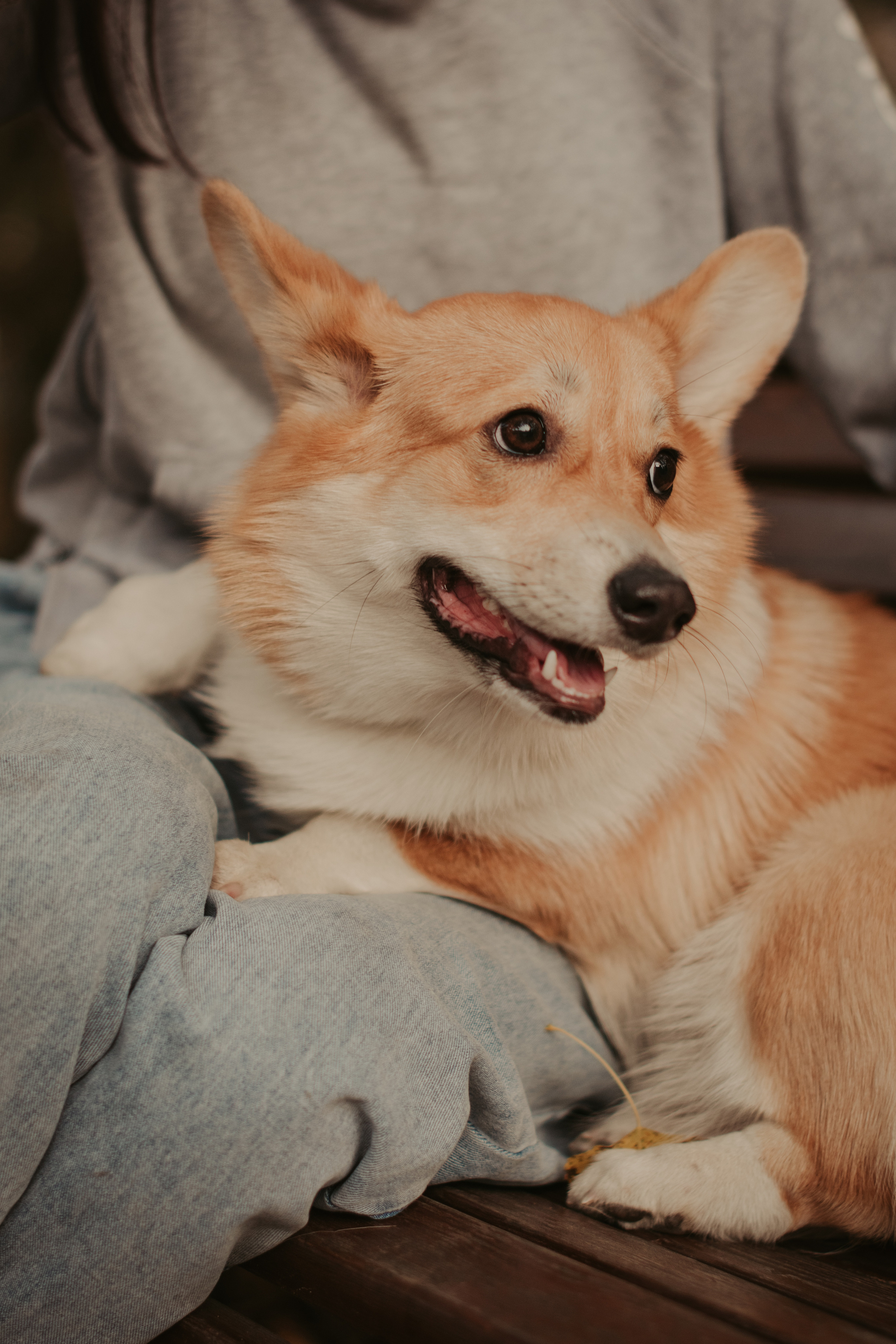 Марина и Мася, Новодевичий сквер. Свадебный фотограф в Москве Анна Полушина