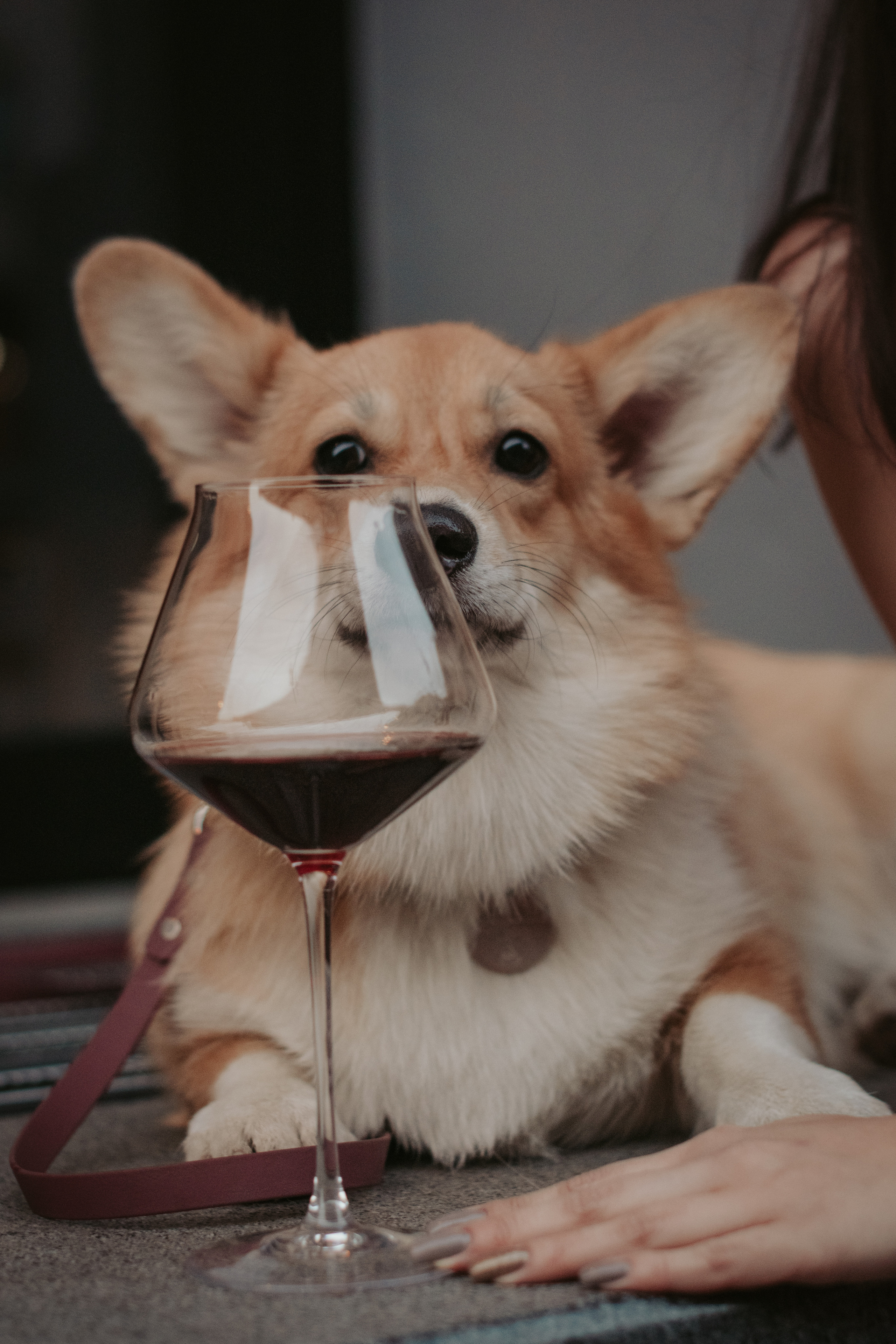 Марина и Мася, Новодевичий сквер. Свадебный фотограф в Москве Анна Полушина