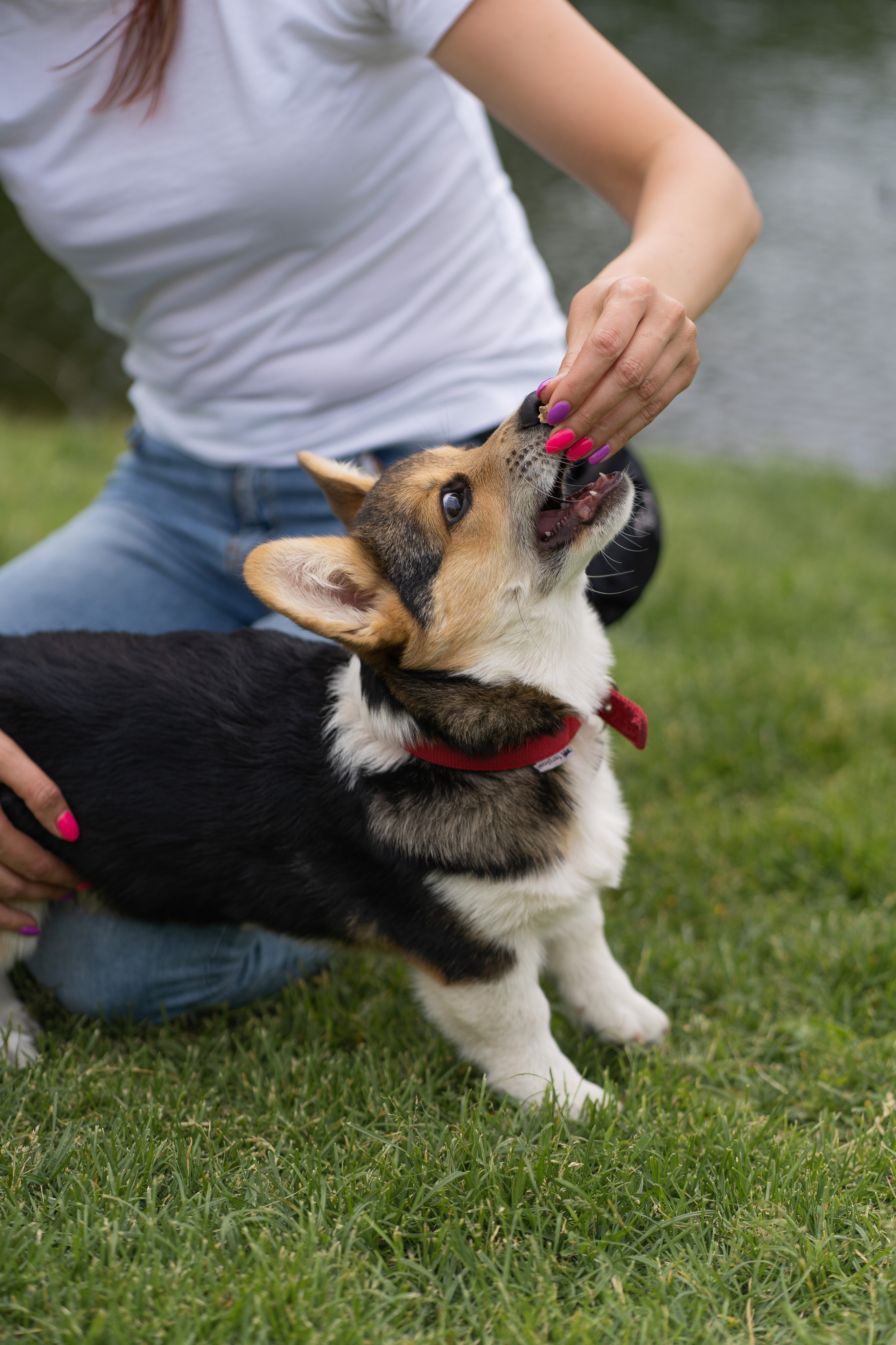 Каспер и Полина, Ботанический сад. Свадебный фотограф в Москве Анна Полушина