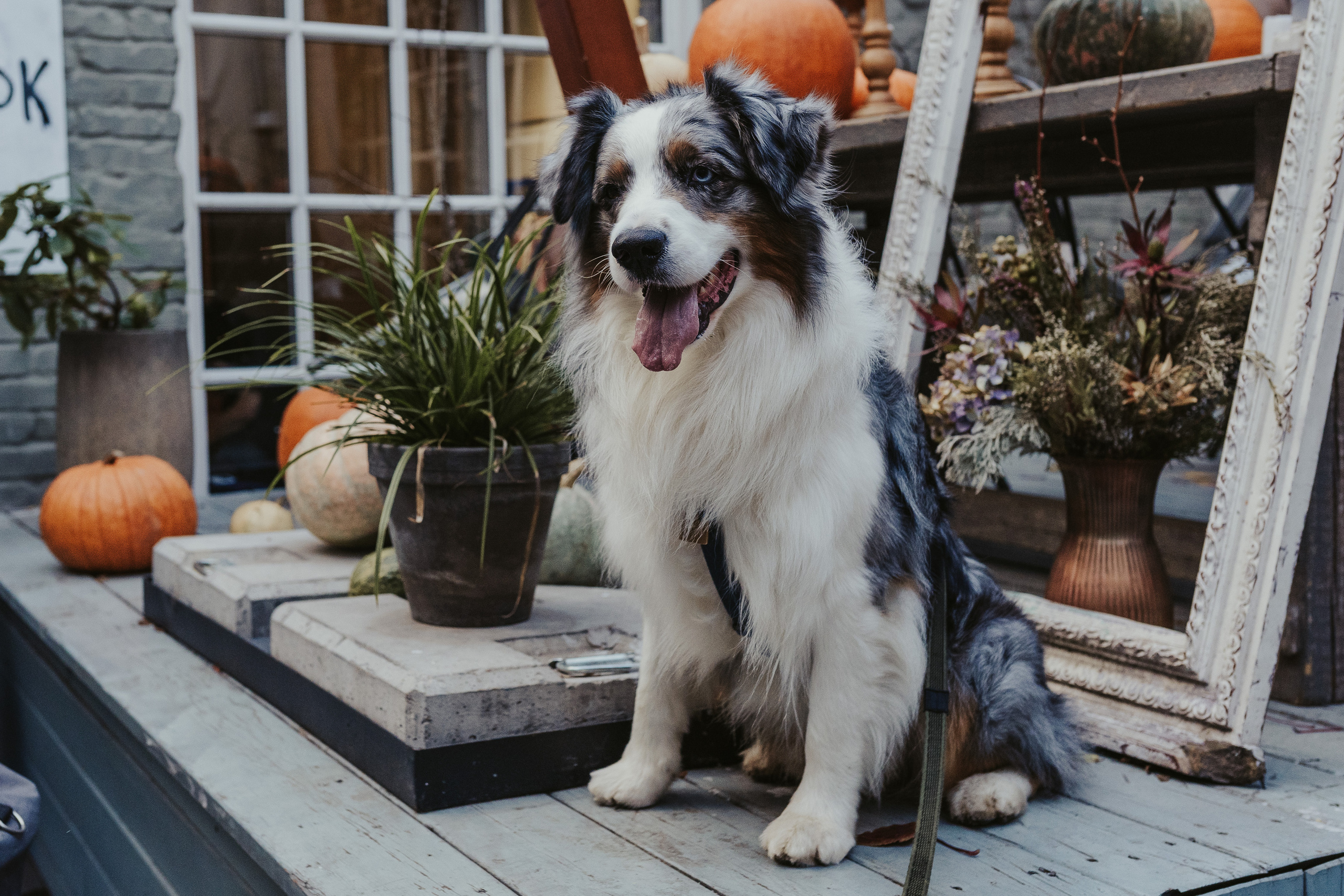 Лена и Принц, Китай- Город. Свадебный фотограф в Москве Анна Полушина
