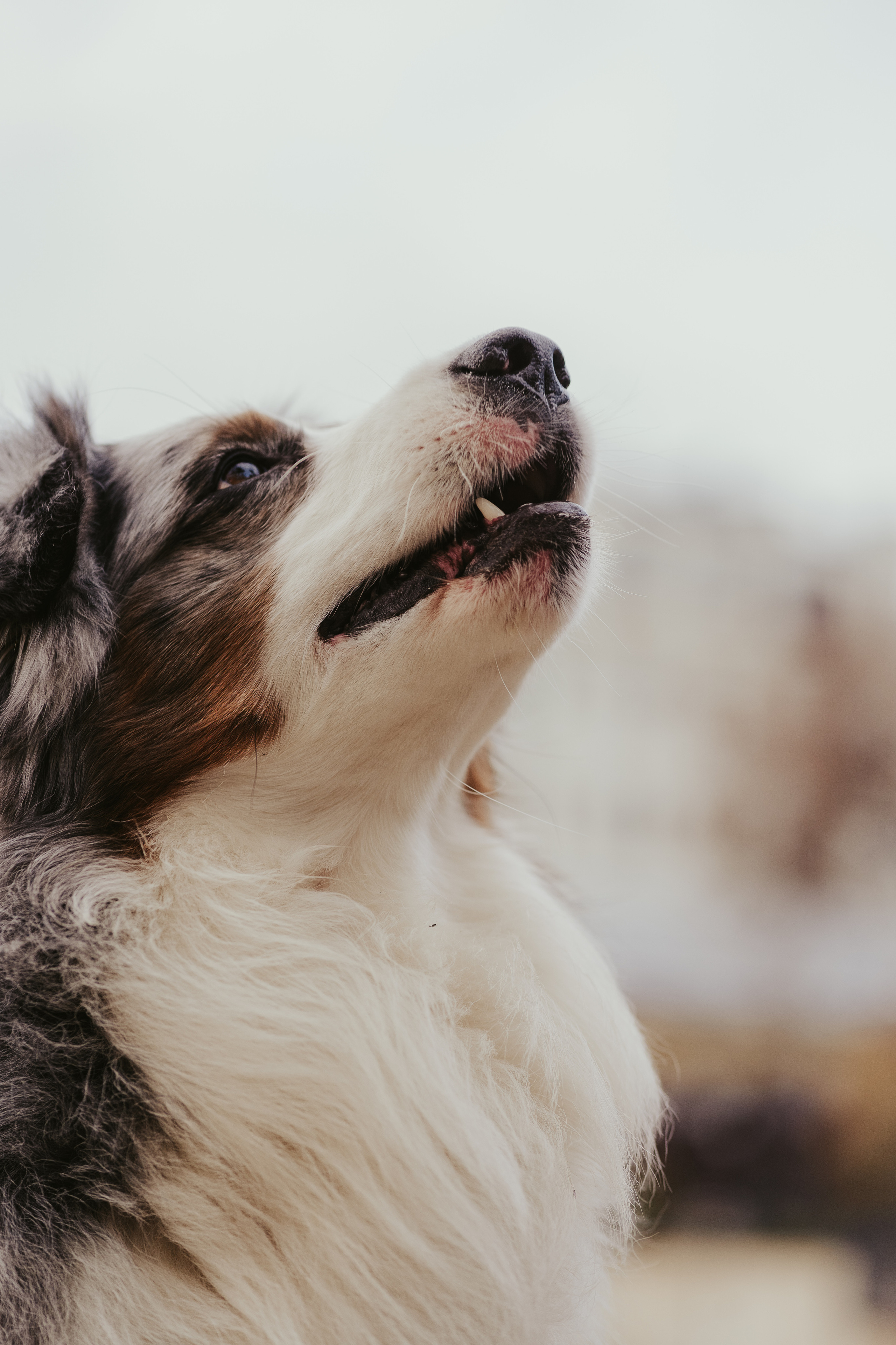 Лена и Принц, Китай- Город. Свадебный фотограф в Москве Анна Полушина
