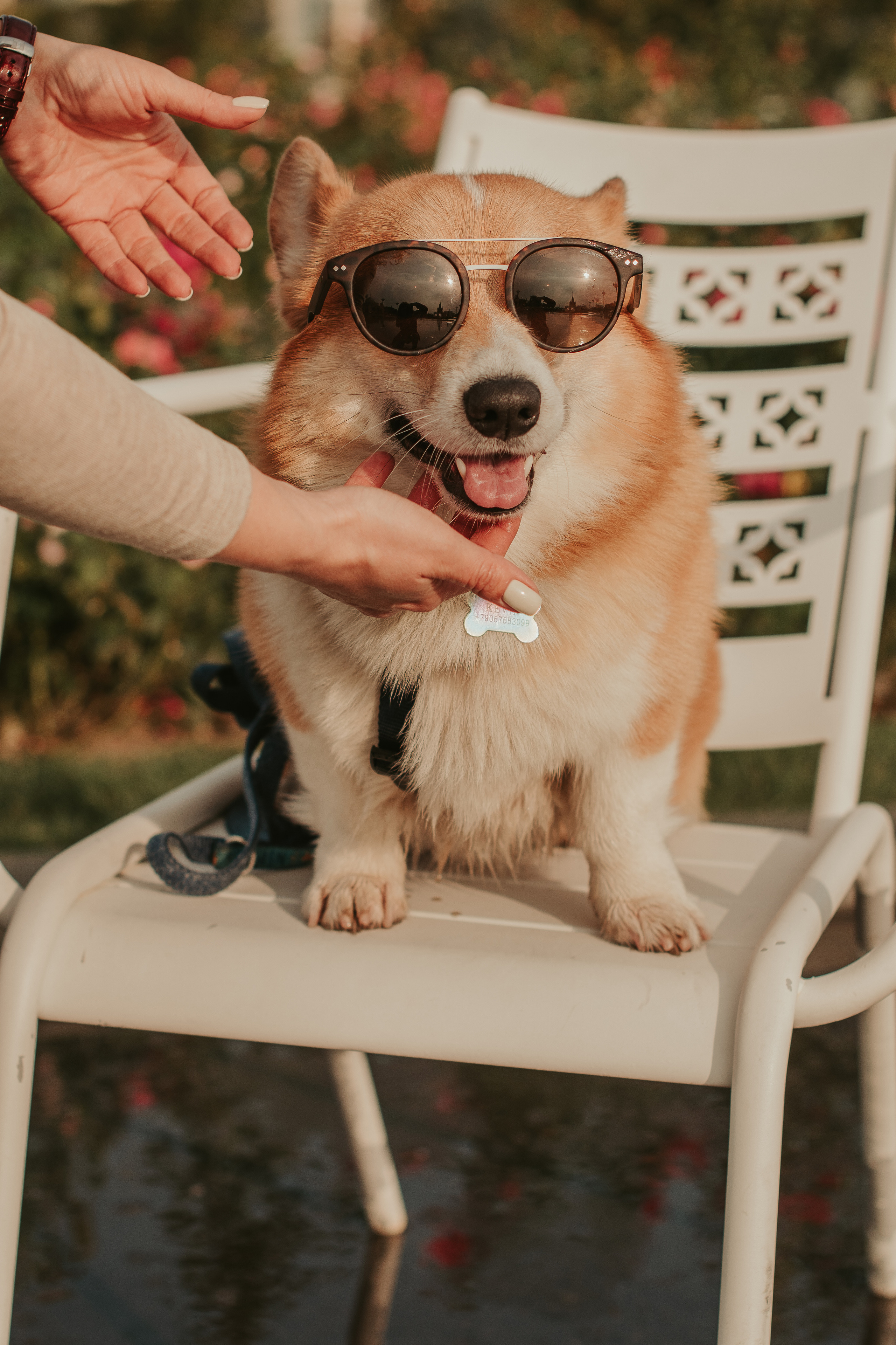 Наташа, Даша и Кевин. Свадебный фотограф в Москве Анна Полушина