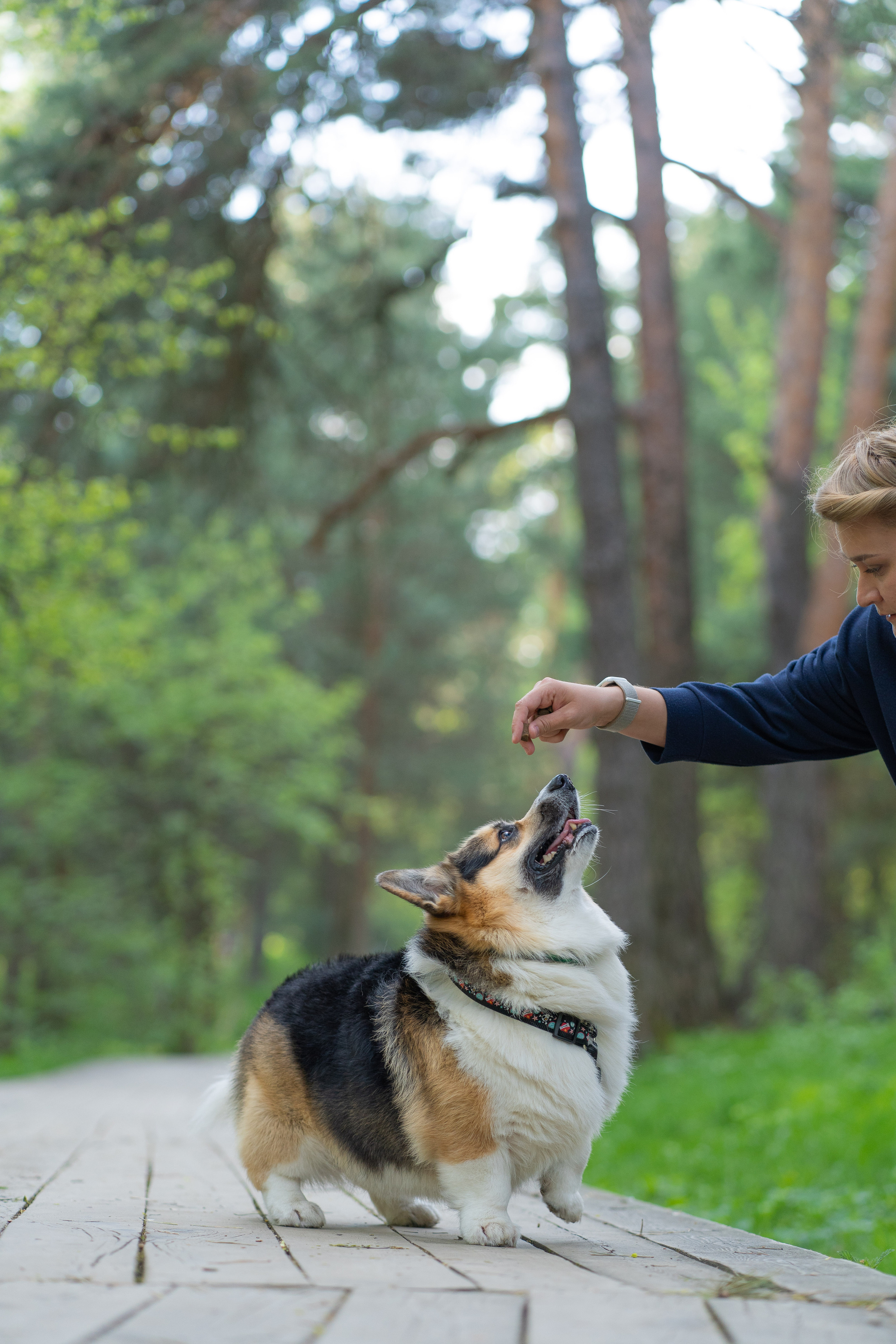 Катя и Честер, Серебряный бор. Свадебный фотограф в Москве Анна Полушина