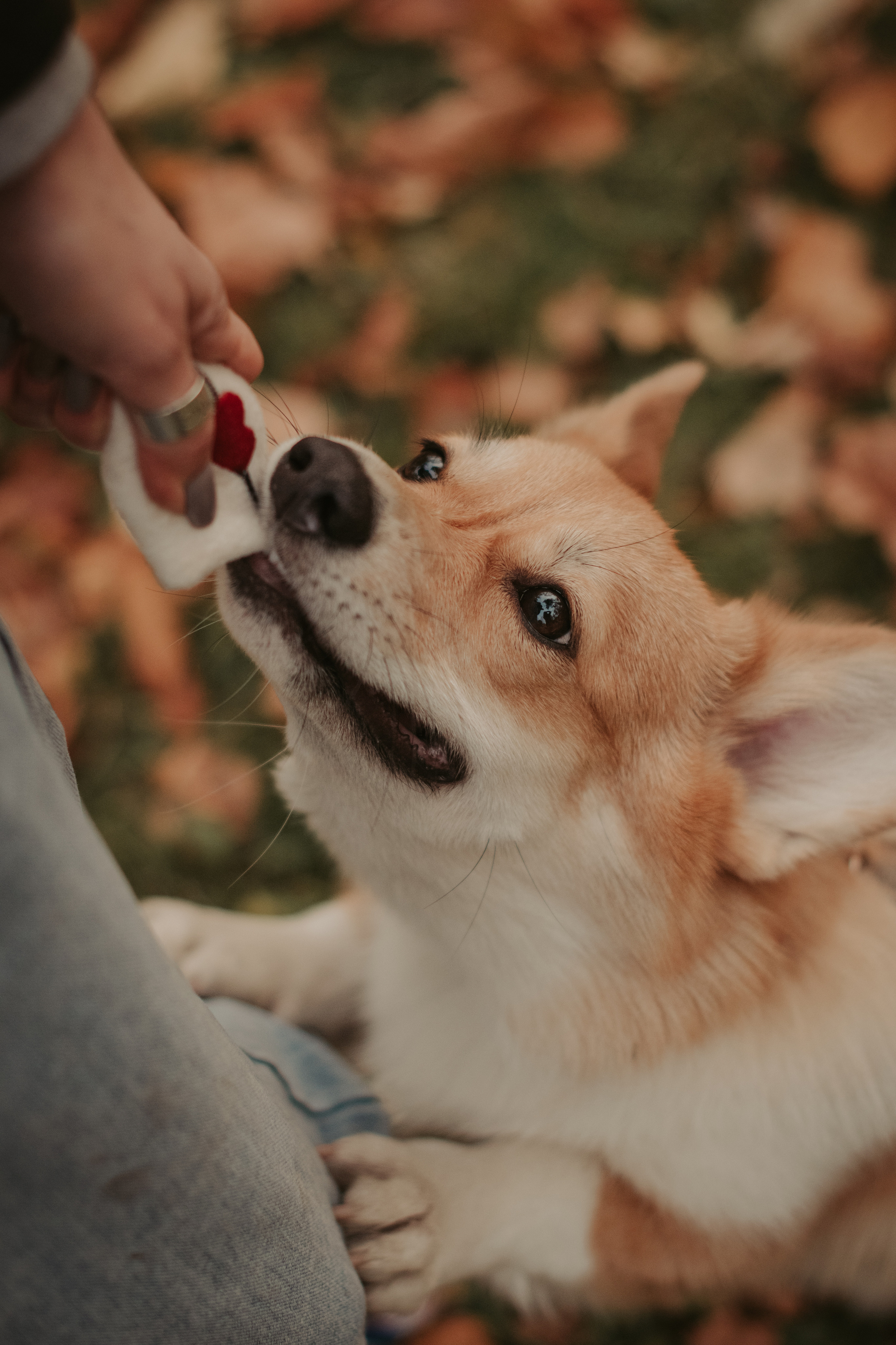 Марина и Мася, Новодевичий сквер. Свадебный фотограф в Москве Анна Полушина