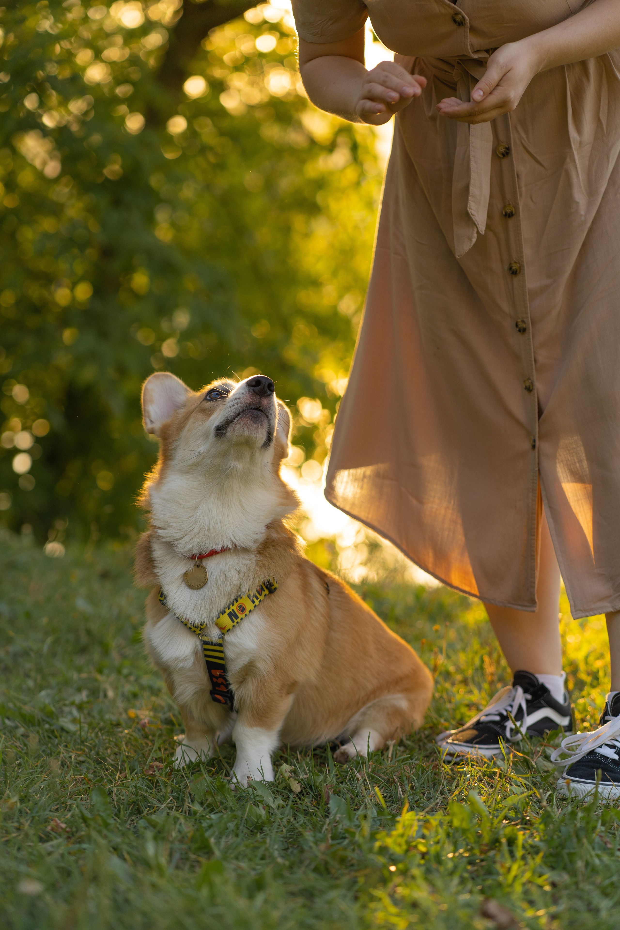 Катя и Боря, Джамгаровский парк. Свадебный фотограф в Москве Анна Полушина