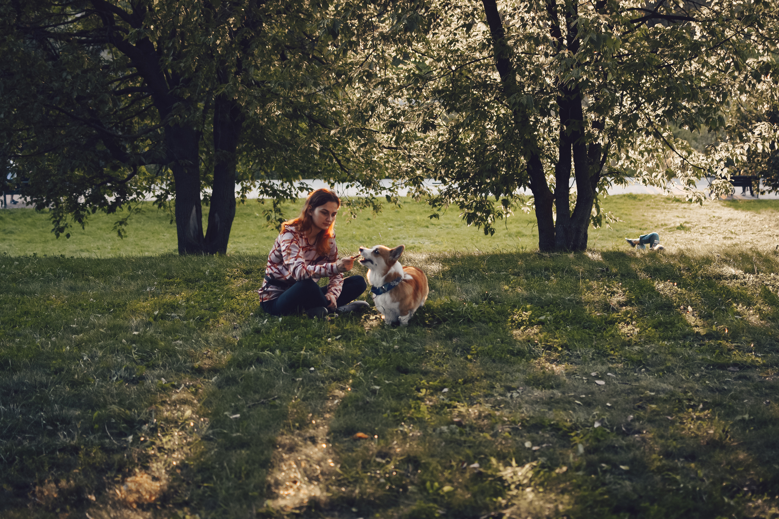 Алина и Ройс, парк на Яузе. Свадебный фотограф в Москве Анна Полушина