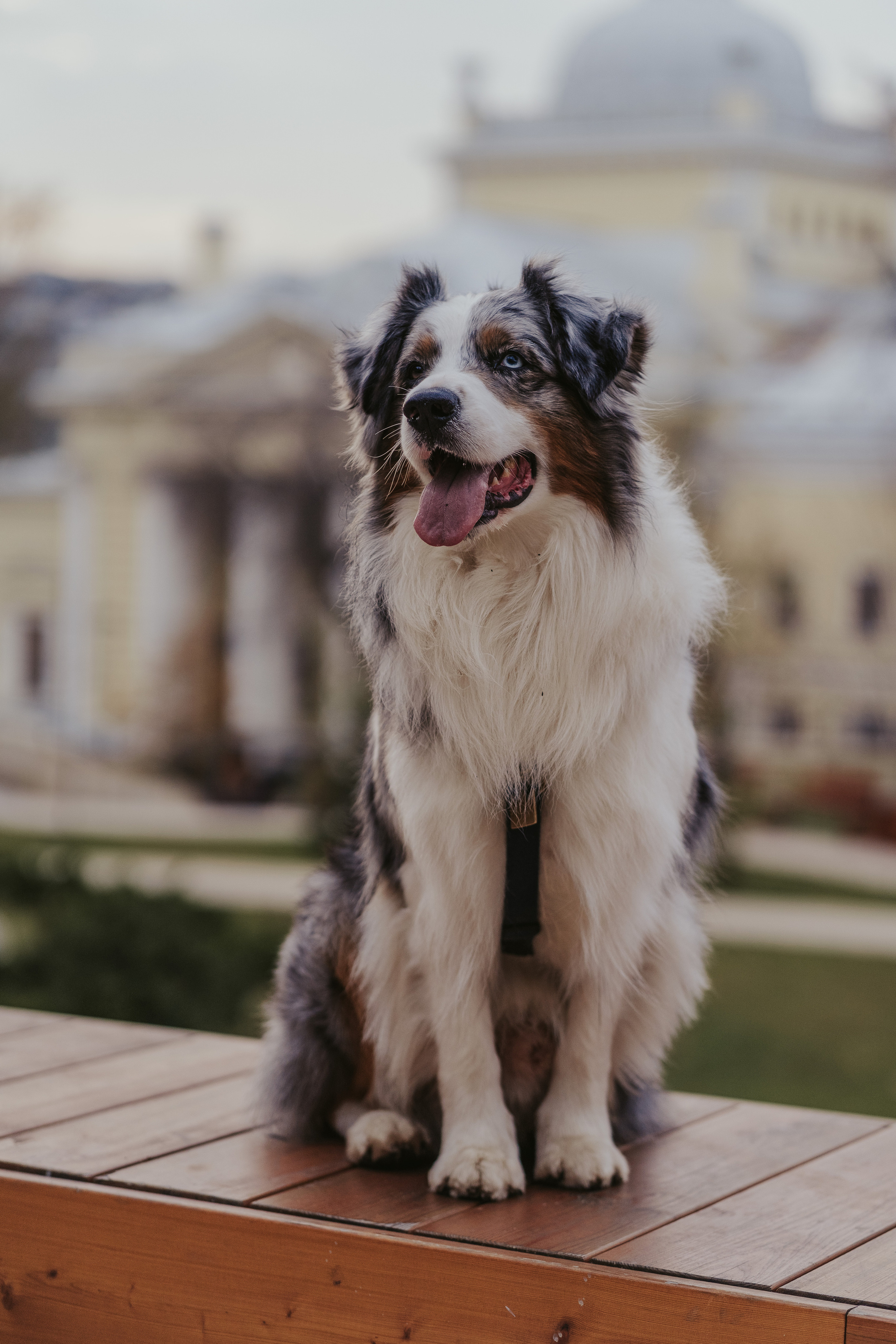 Лена и Принц, Китай- Город. Свадебный фотограф в Москве Анна Полушина