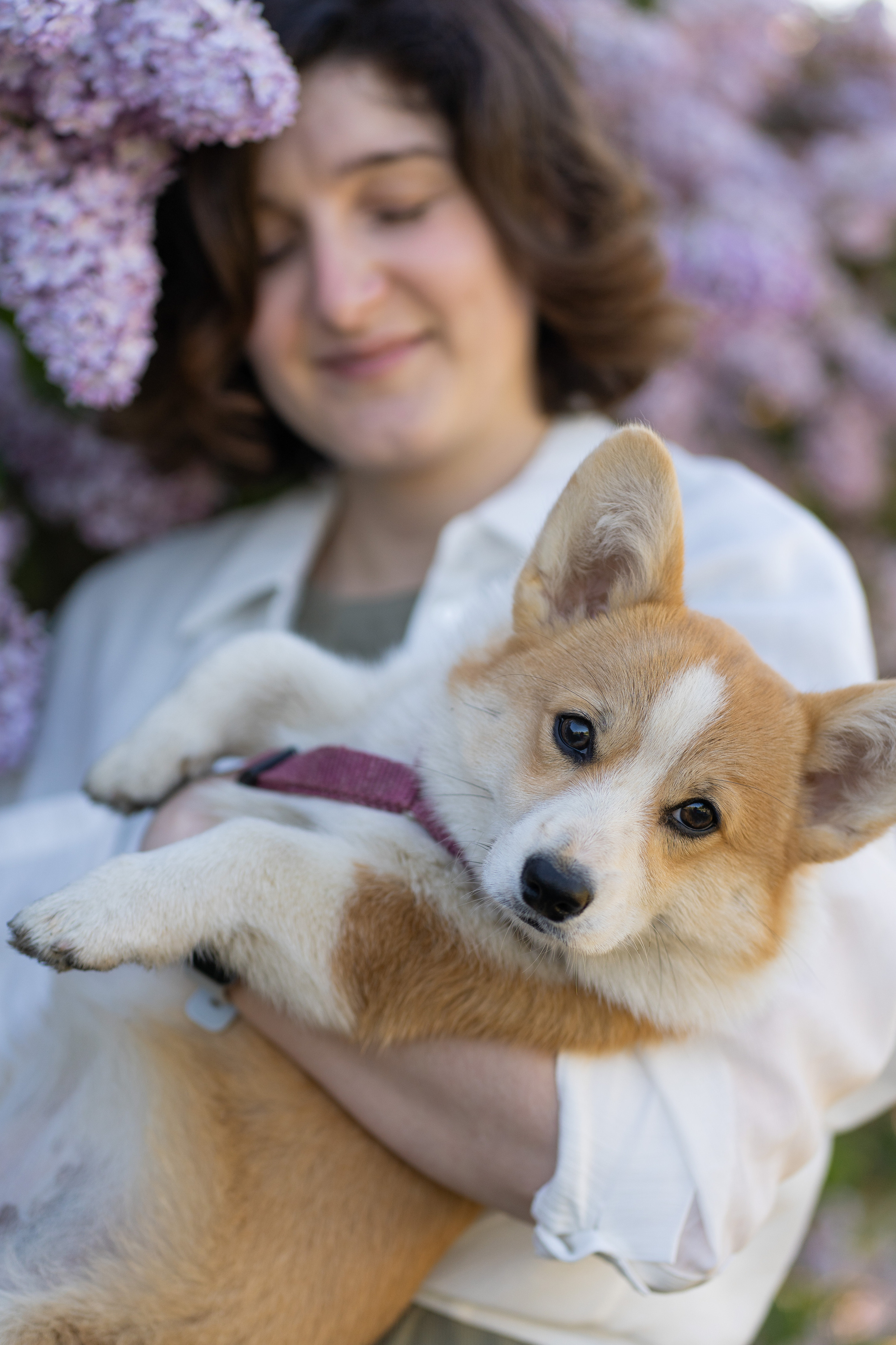 Полина и Стеша, Сиреневый сад. Свадебный фотограф в Москве Анна Полушина