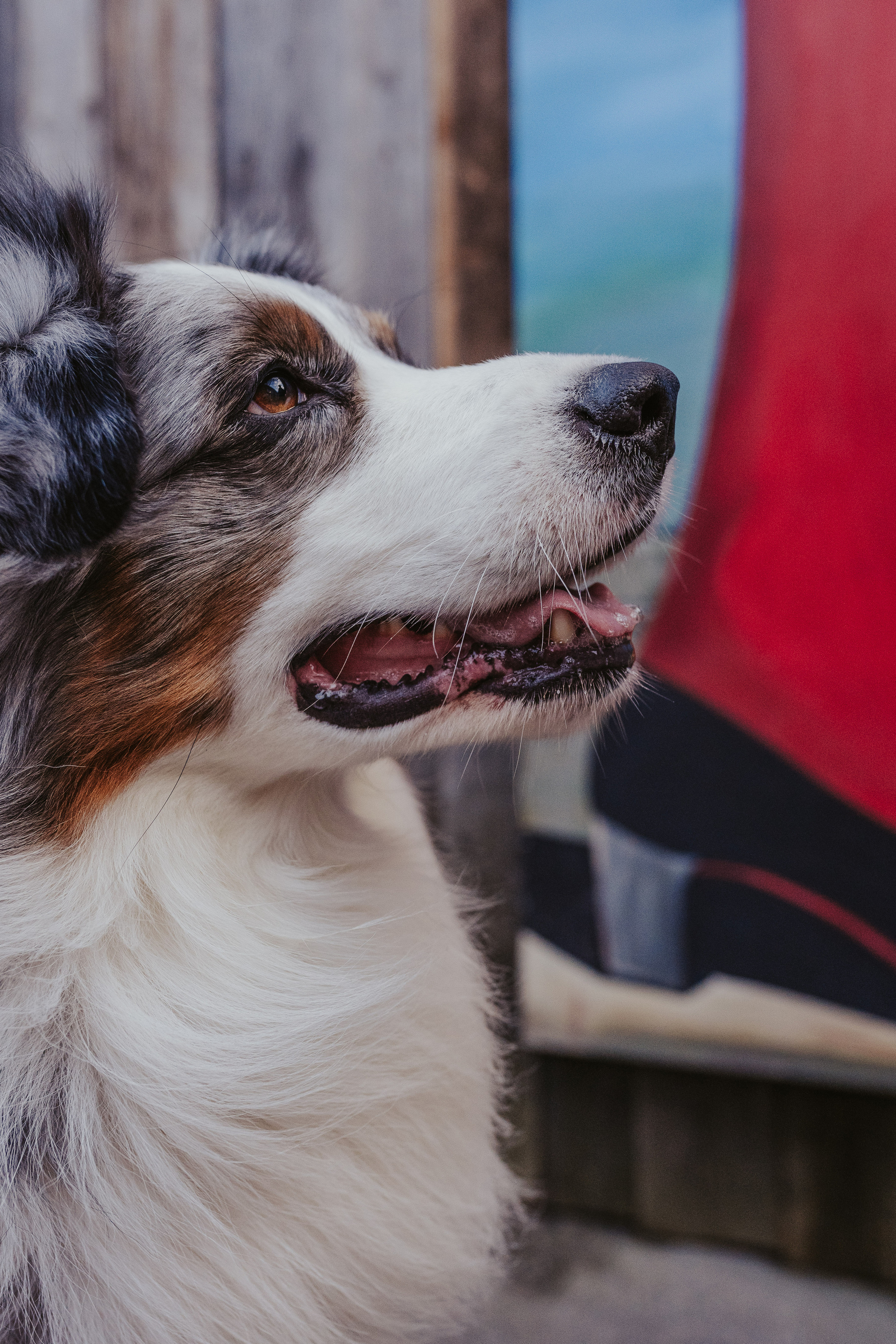 Лена и Принц, Китай- Город. Свадебный фотограф в Москве Анна Полушина