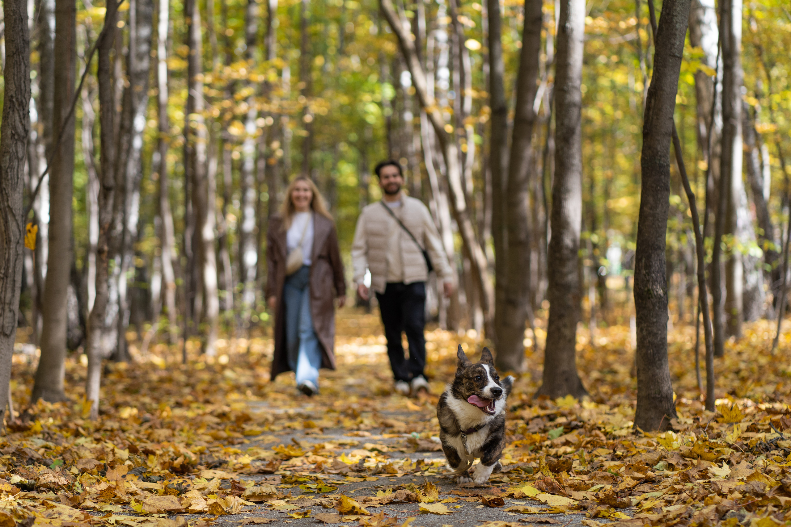 Боря, Даша и Маффин. Свадебный фотограф в Москве Анна Полушина