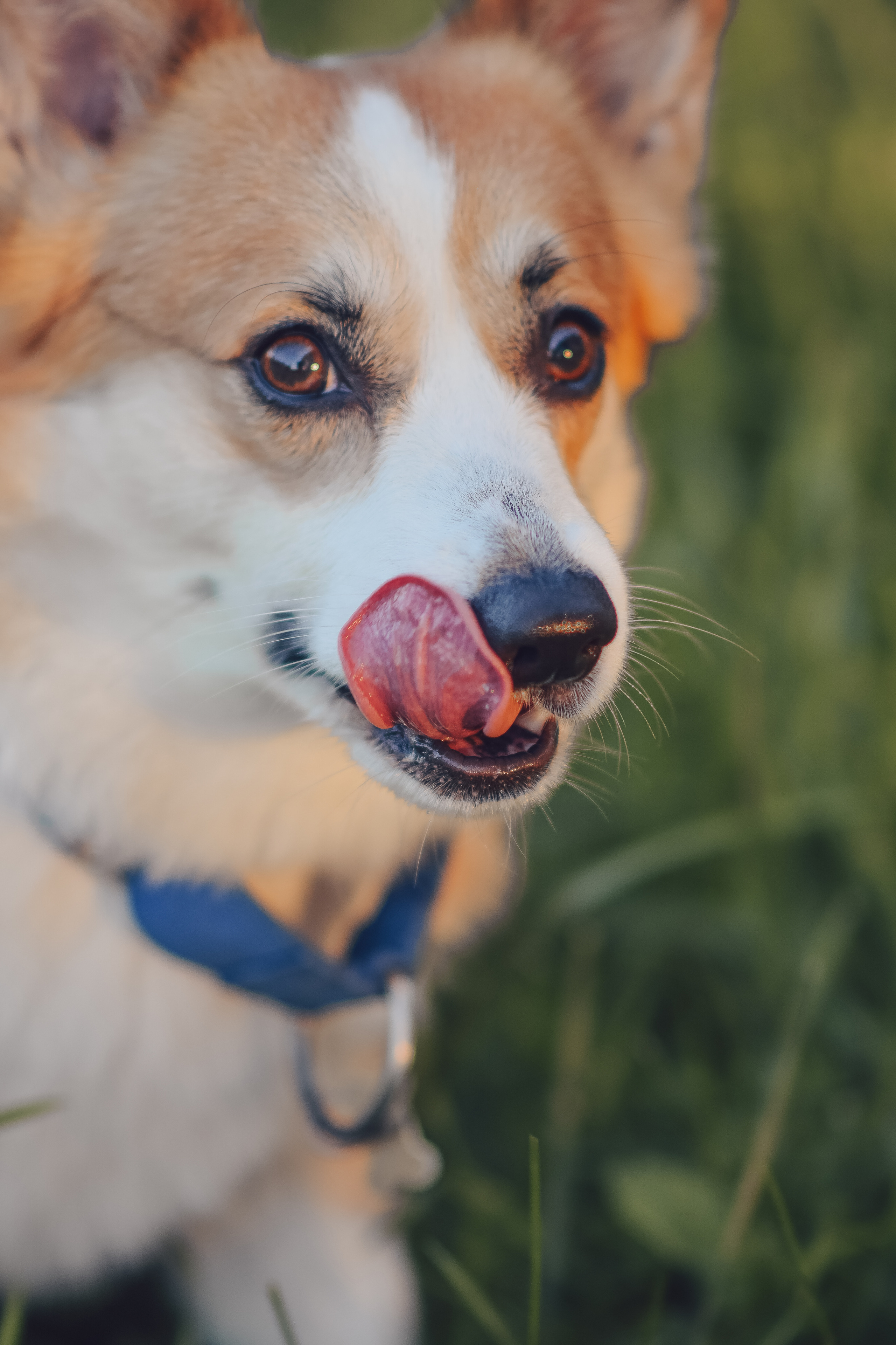 Алина и Ройс, парк на Яузе. Свадебный фотограф в Москве Анна Полушина