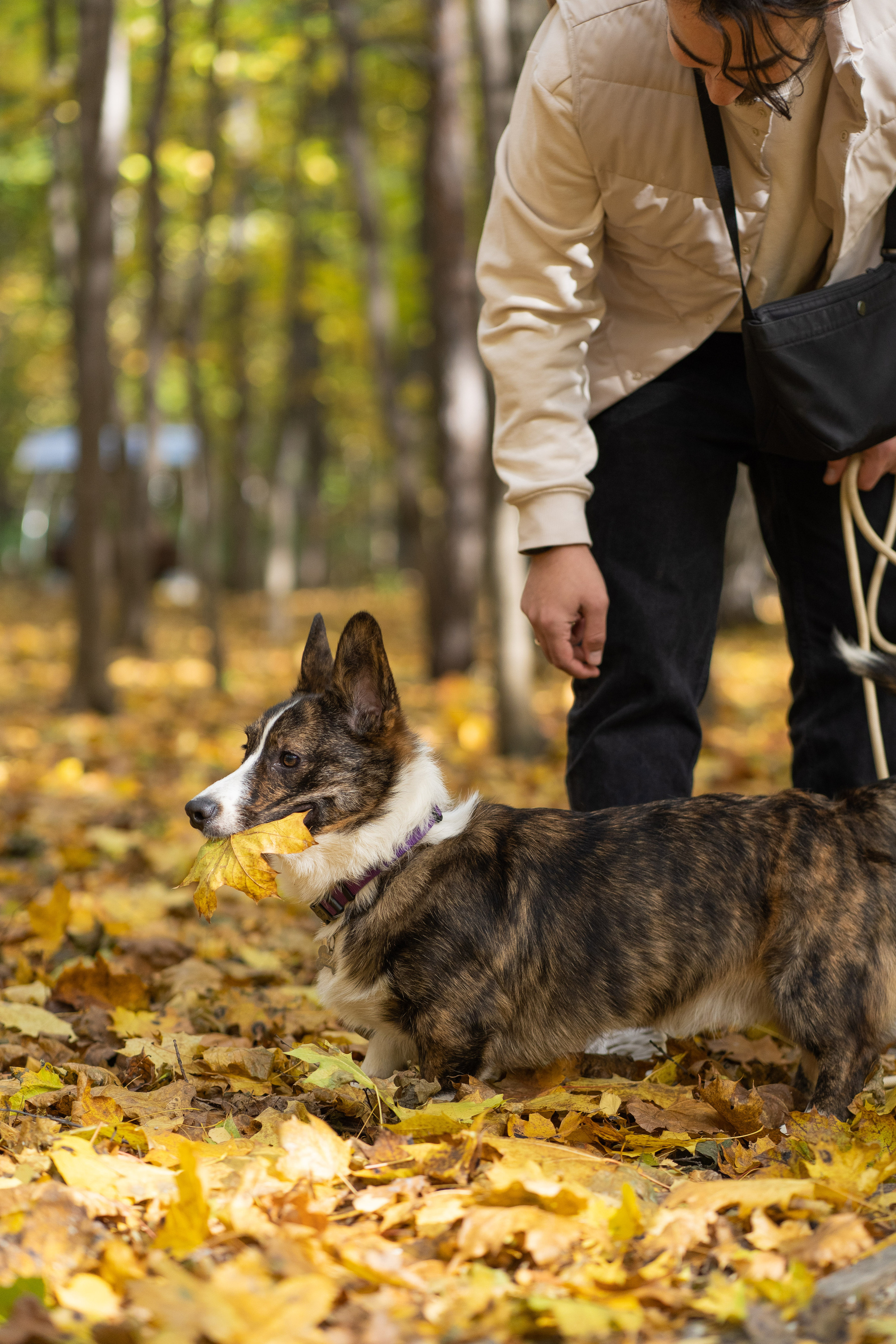 Боря, Даша и Маффин. Свадебный фотограф в Москве Анна Полушина